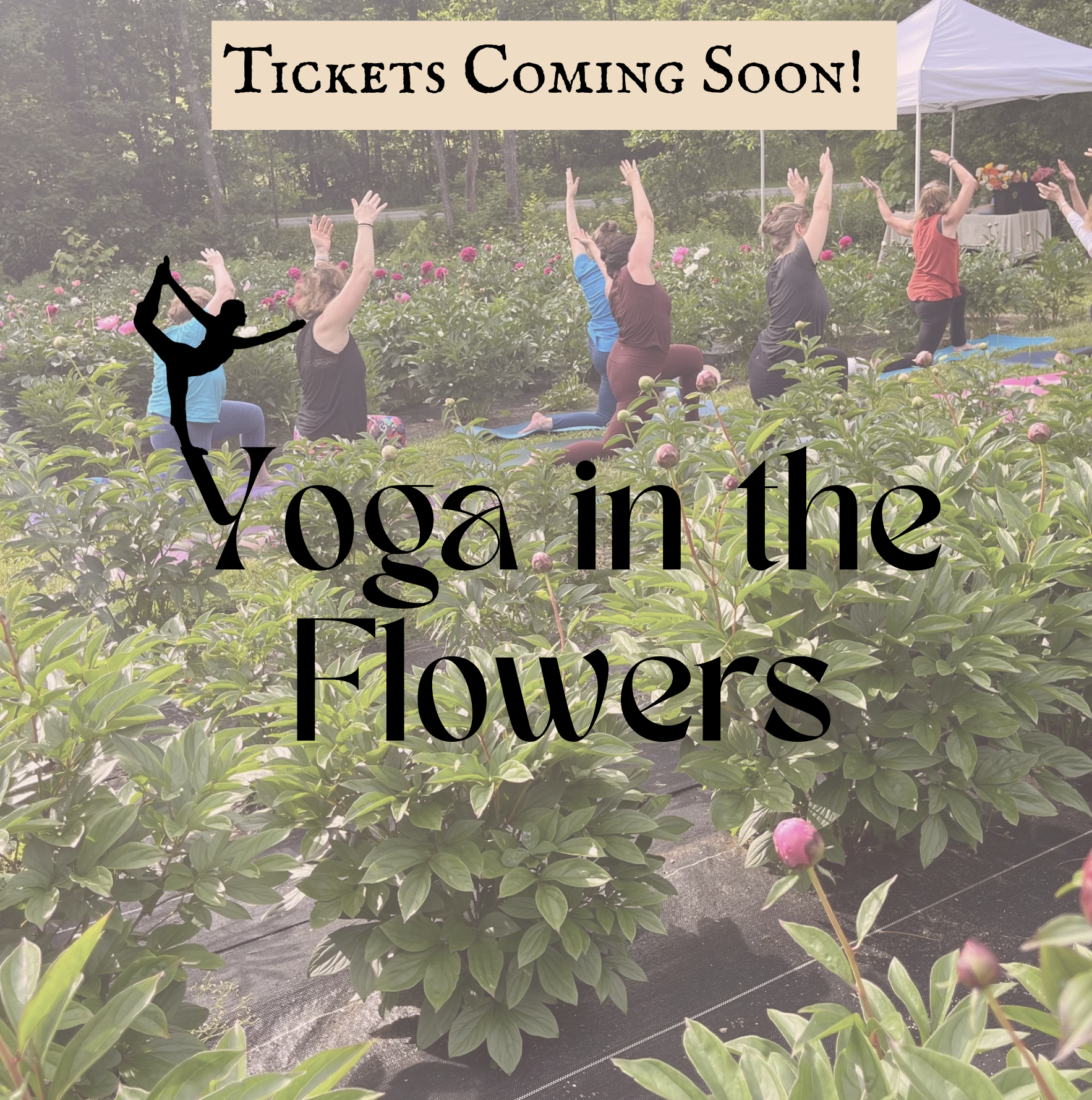 Yoga in the Flowers