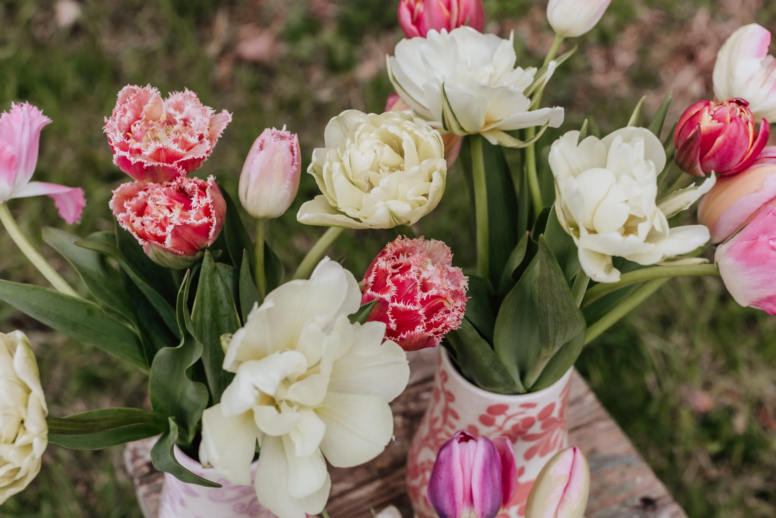 20260502_Brook_Blossom_Farm_Vermont_Tulips_Daffodils-20.jpg