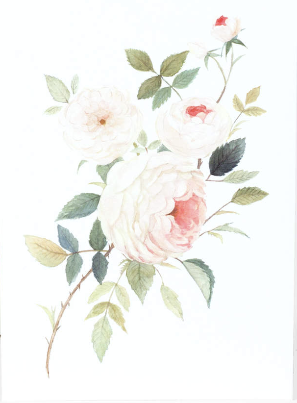 Screenshot 2026-04-04 at 6.02.56 AM.png