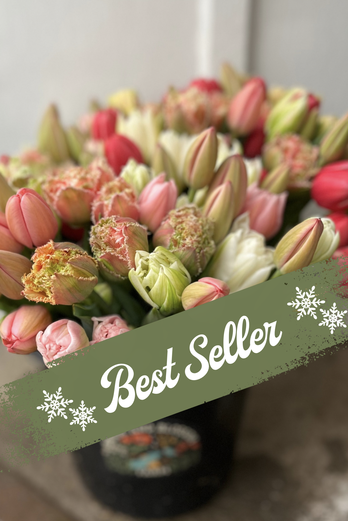 Screenshot 2025-11-26 at 11.16.33 AM.png