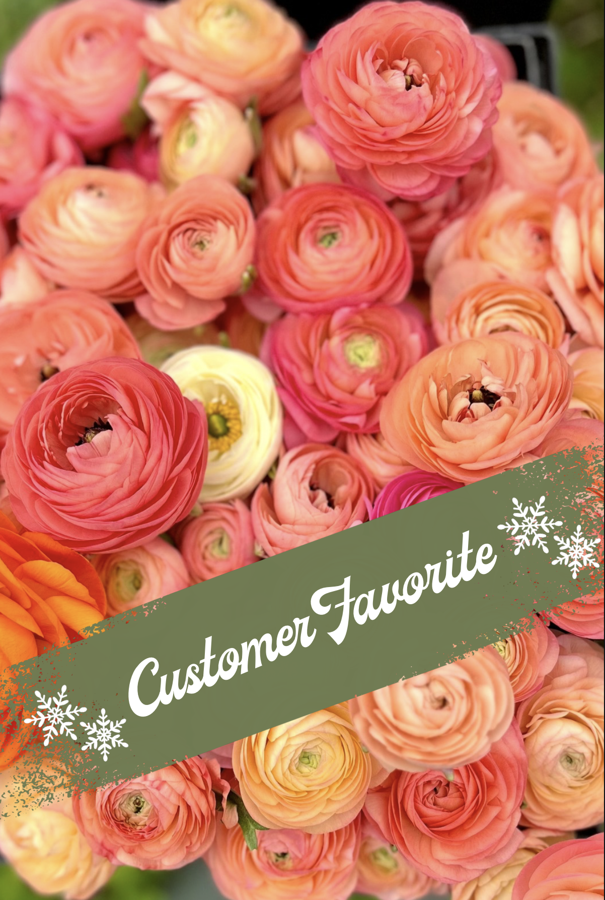 First to Frost (*22 weeks of flowers!*)