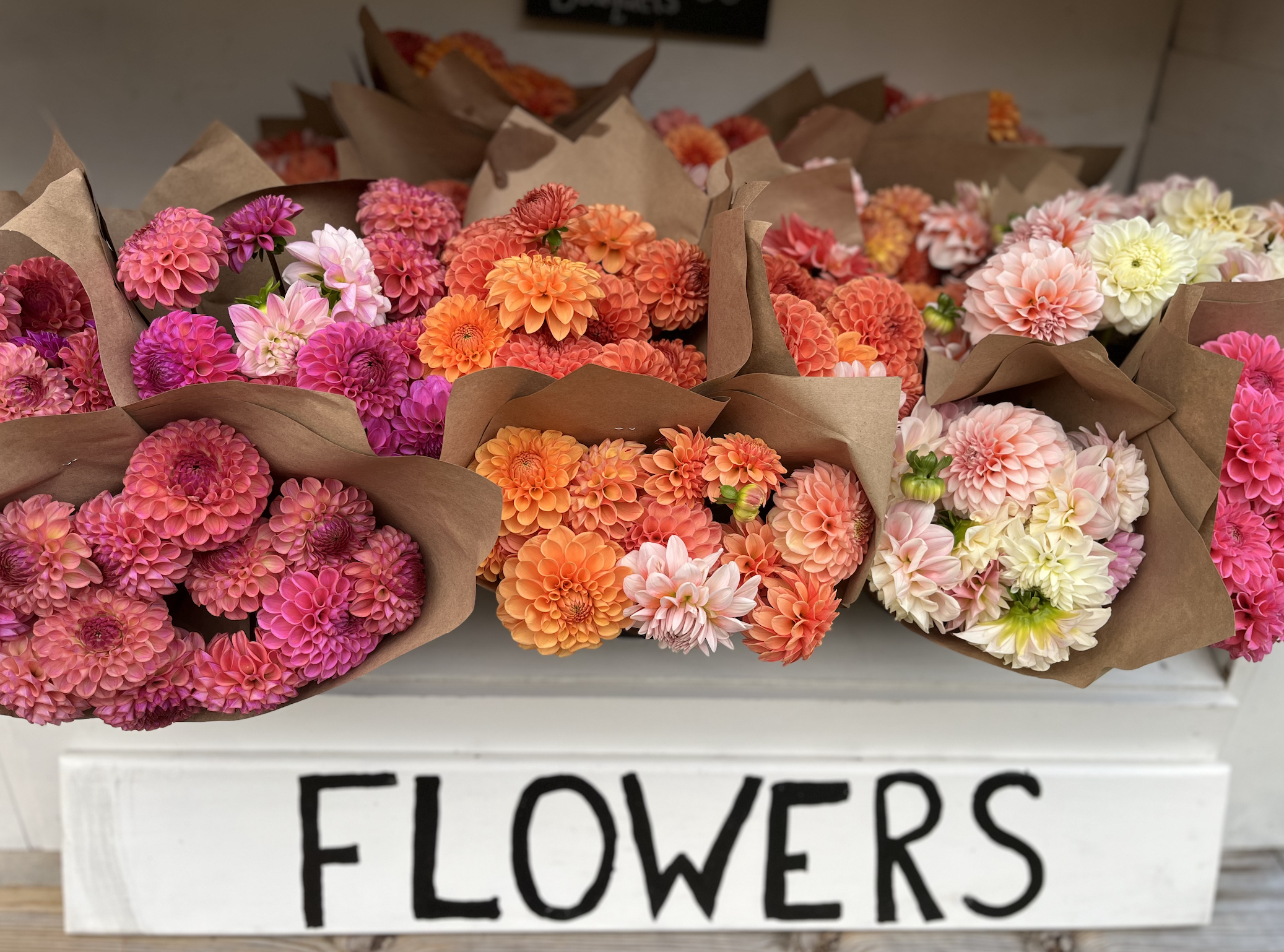 Flexible Flower CSA
