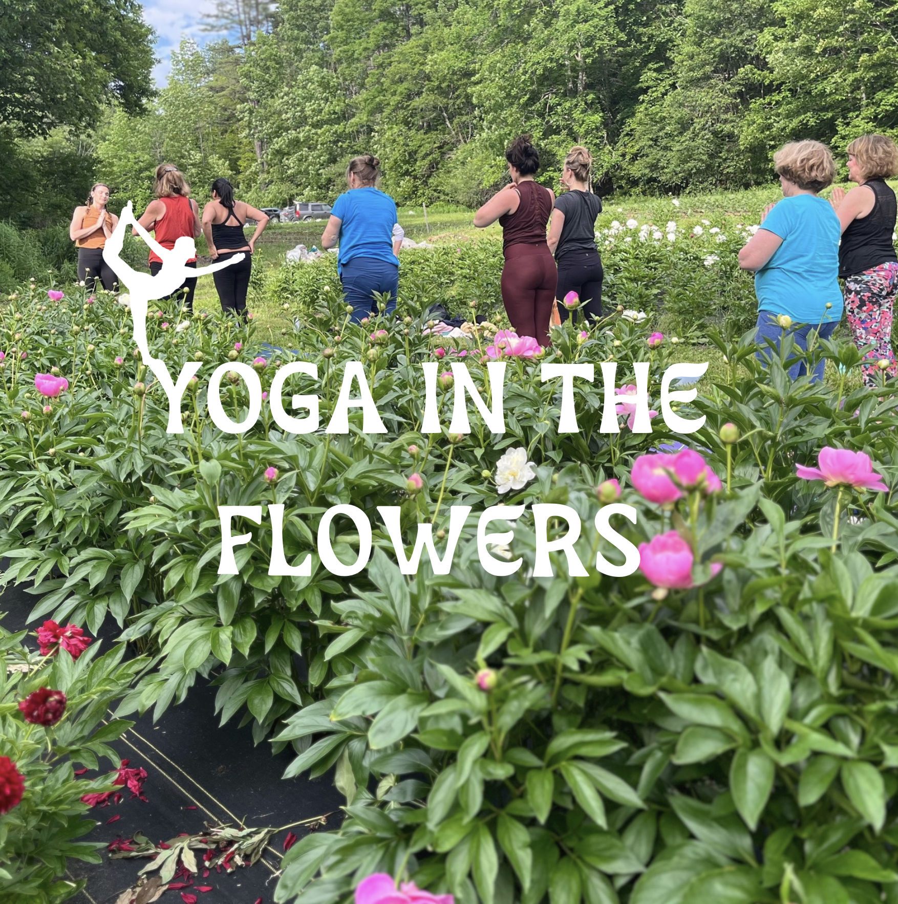 Yoga in the Flowers