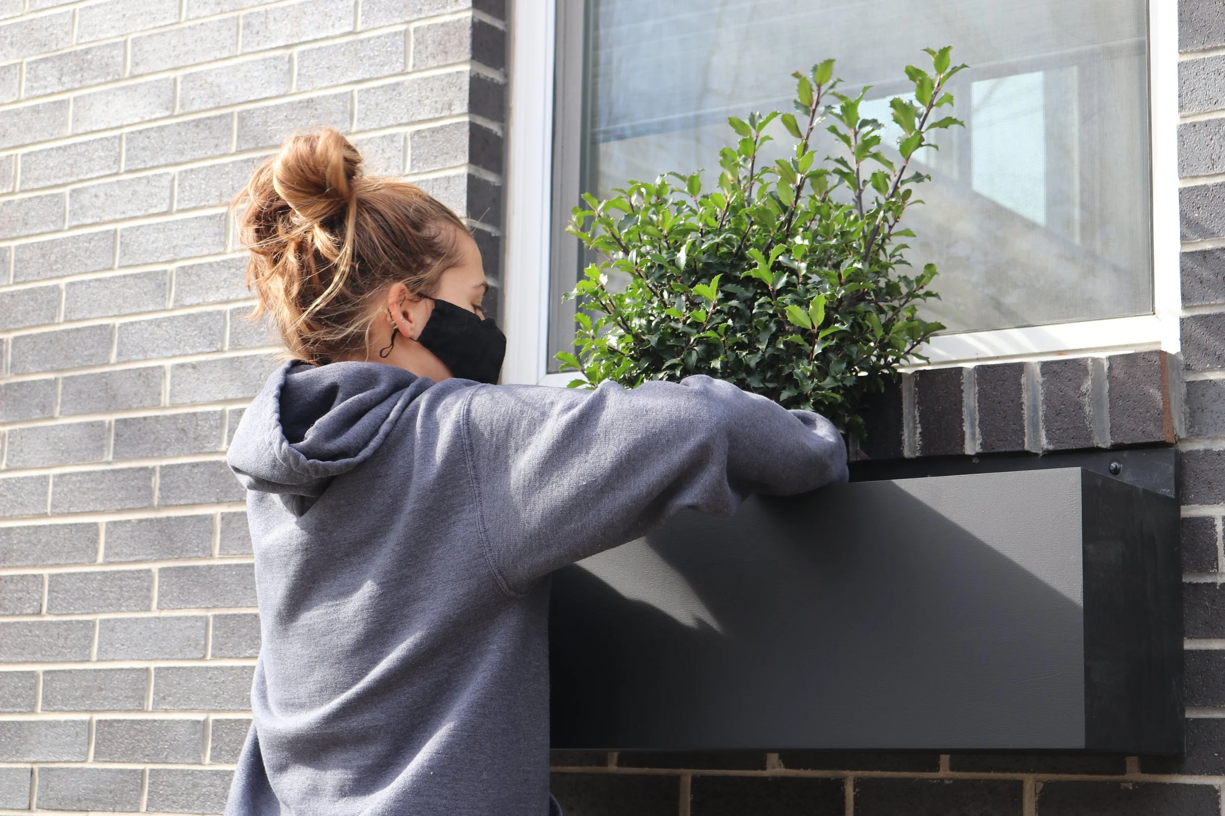 Care And Maintenance Urban Jungle Designs