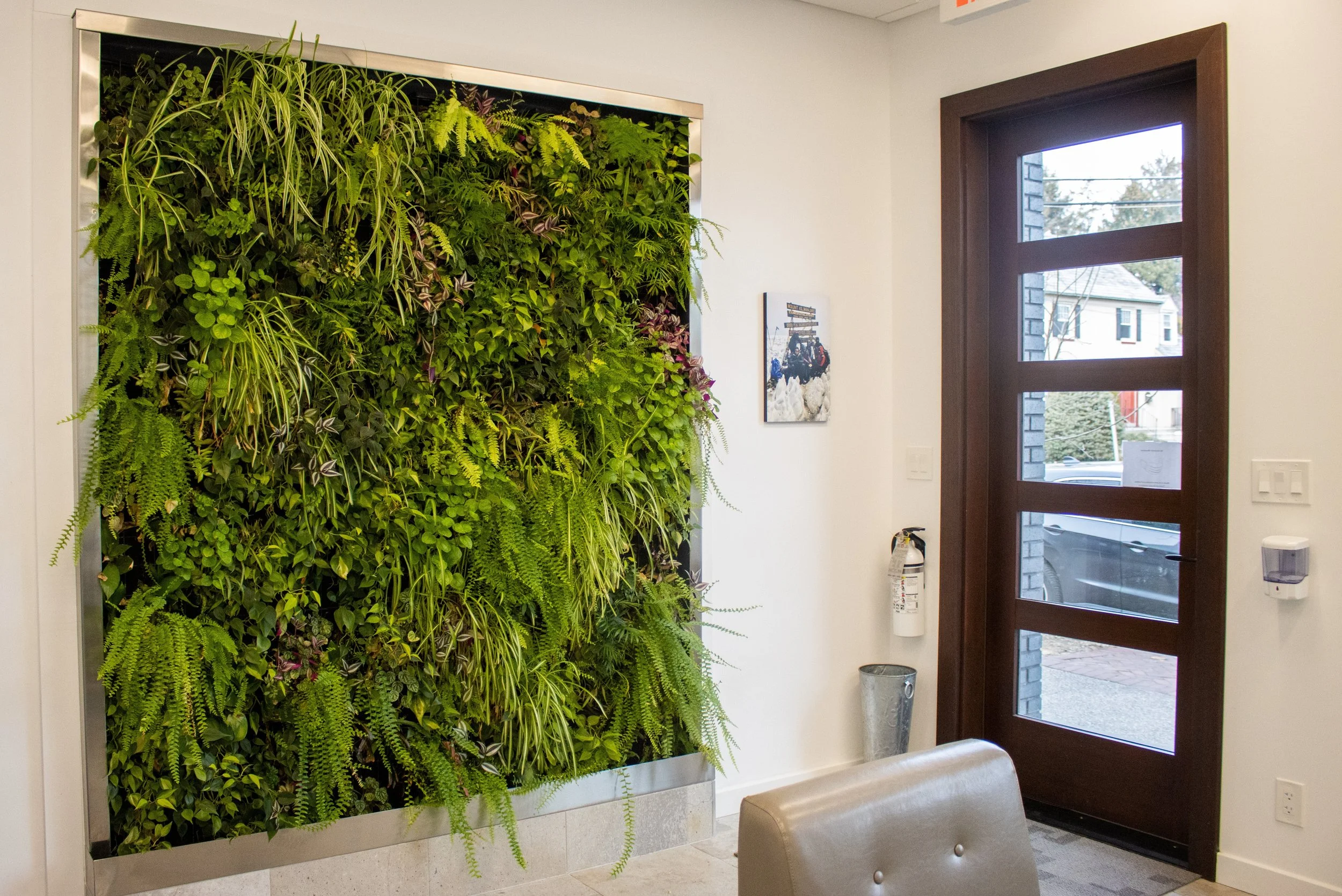 Living Walls — Urban Jungle Designs