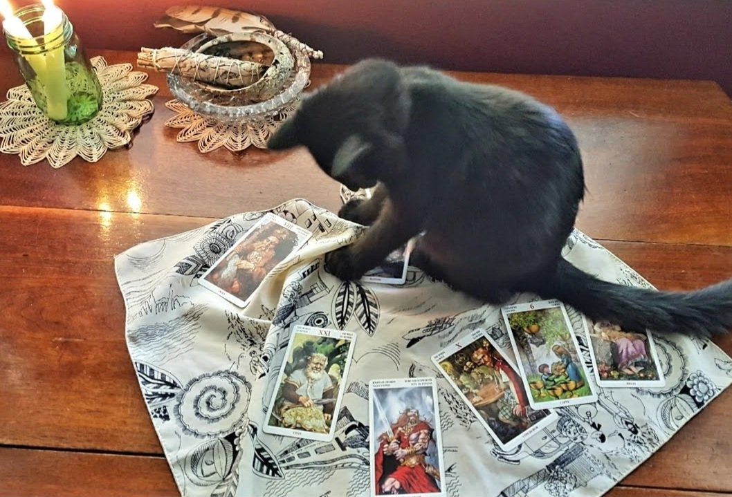 My Favorite Tarot Card Deck