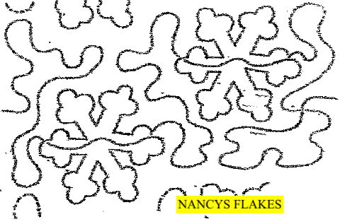 nancy's flakes.gif