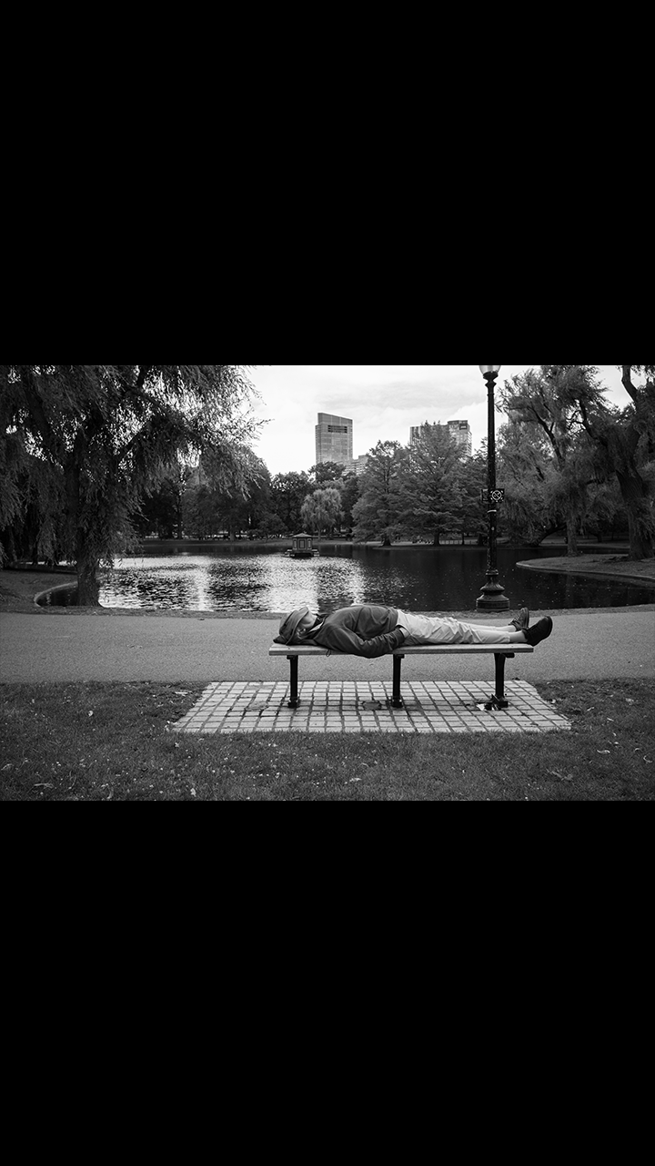 Nap In The Park - 12” x 18” print