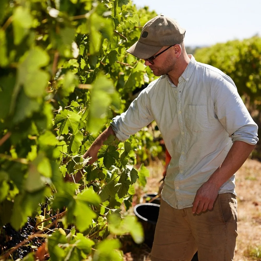 🍷 WINE LIST TAKEOVER 🍷 This Thursday 10th October, award-winning Adelaide Hills winery @murdochhill_wines will be joining us in the bar from 4pm. We&rsquo;ll be pouring eight Murdoch Hill wines by the glass including a Sauvignon Blanc, Chardonnay, 