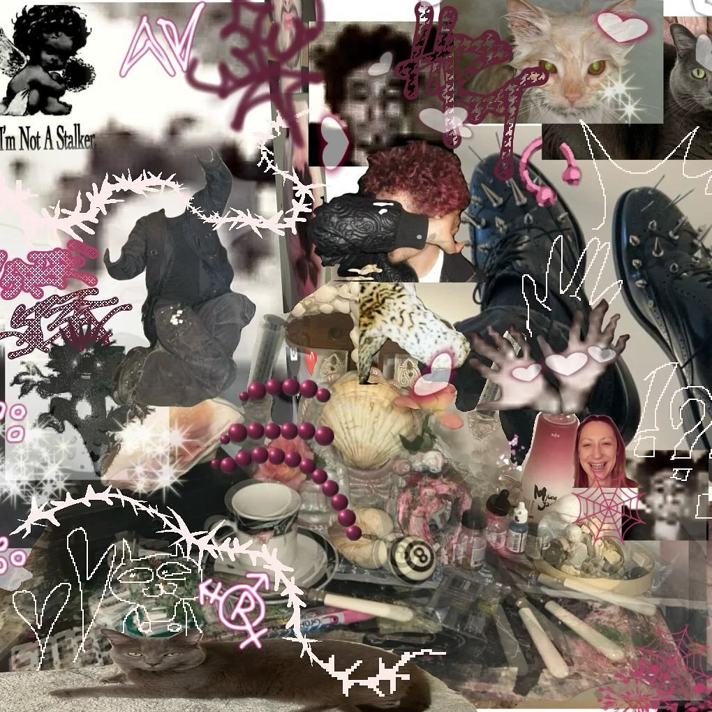 🫦🧳🧜🏻👝👙🧦🦝🦩🪵🌷🪗🎟️🏛️💒