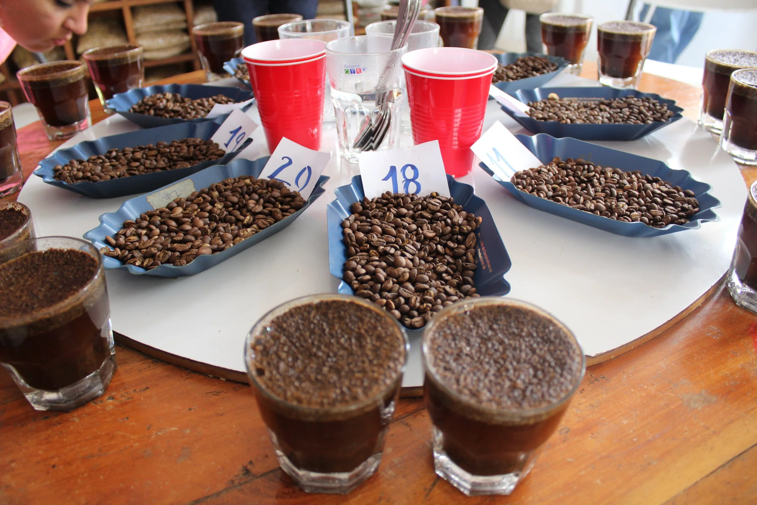 Copy of IMG_2511.JPG