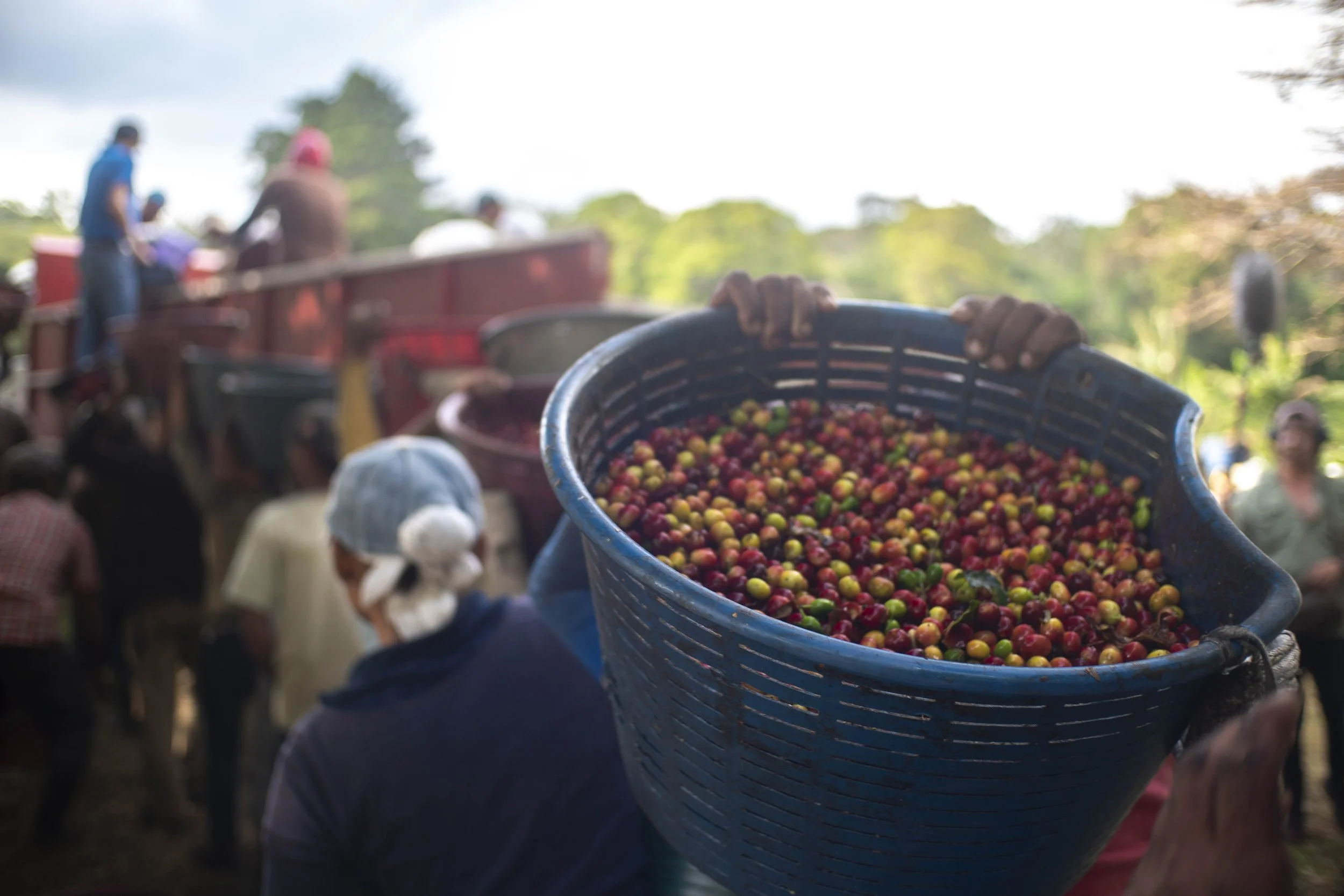 The Coffee Source Photo 2.jpg