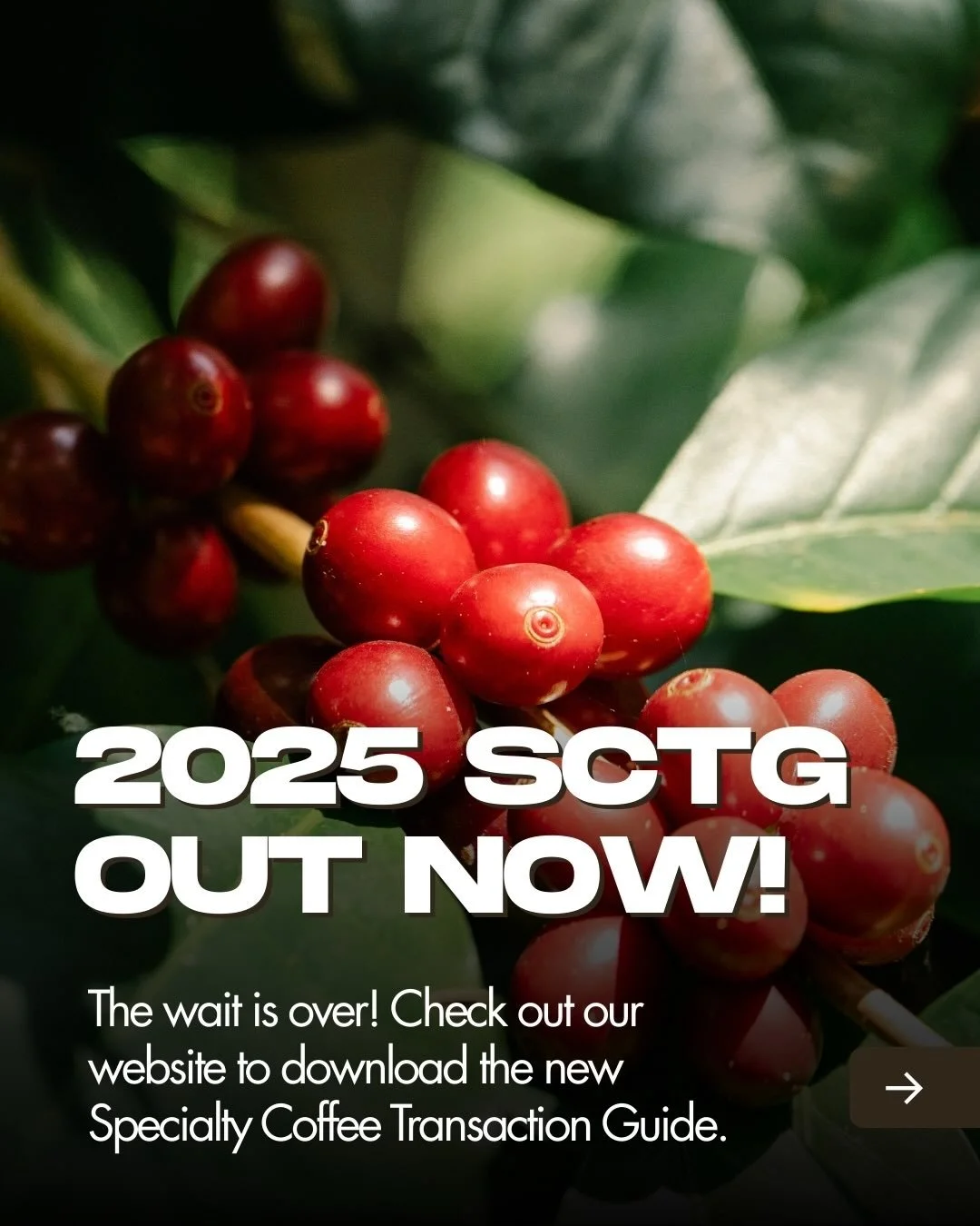 The wait for the 2025 SCTG update is over! Scan the QR code in the post or head to our link in bio to check it out. Thank you to our amazing data donors for making this possible!