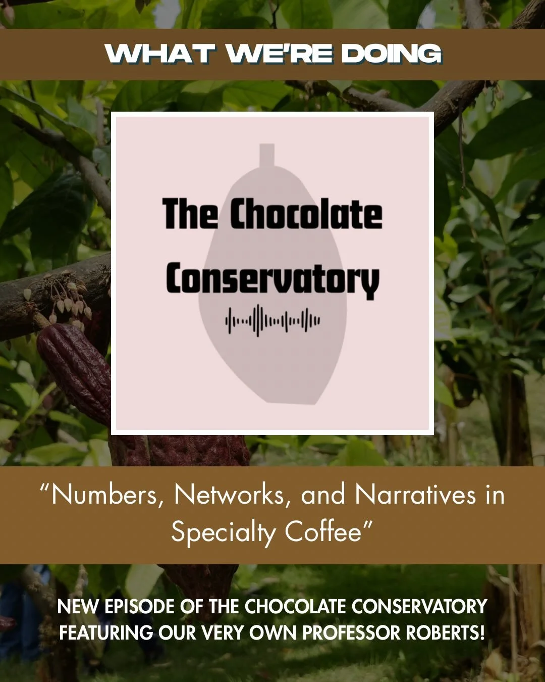 Our very own Professor Roberts on the Chocolate Conservatory podcast, talking about coffee&rsquo;s history, economic sociology, and creating a more equitable future for coffee (hint, it involves the SCTG)! 

Link in bio to hear the full episode!