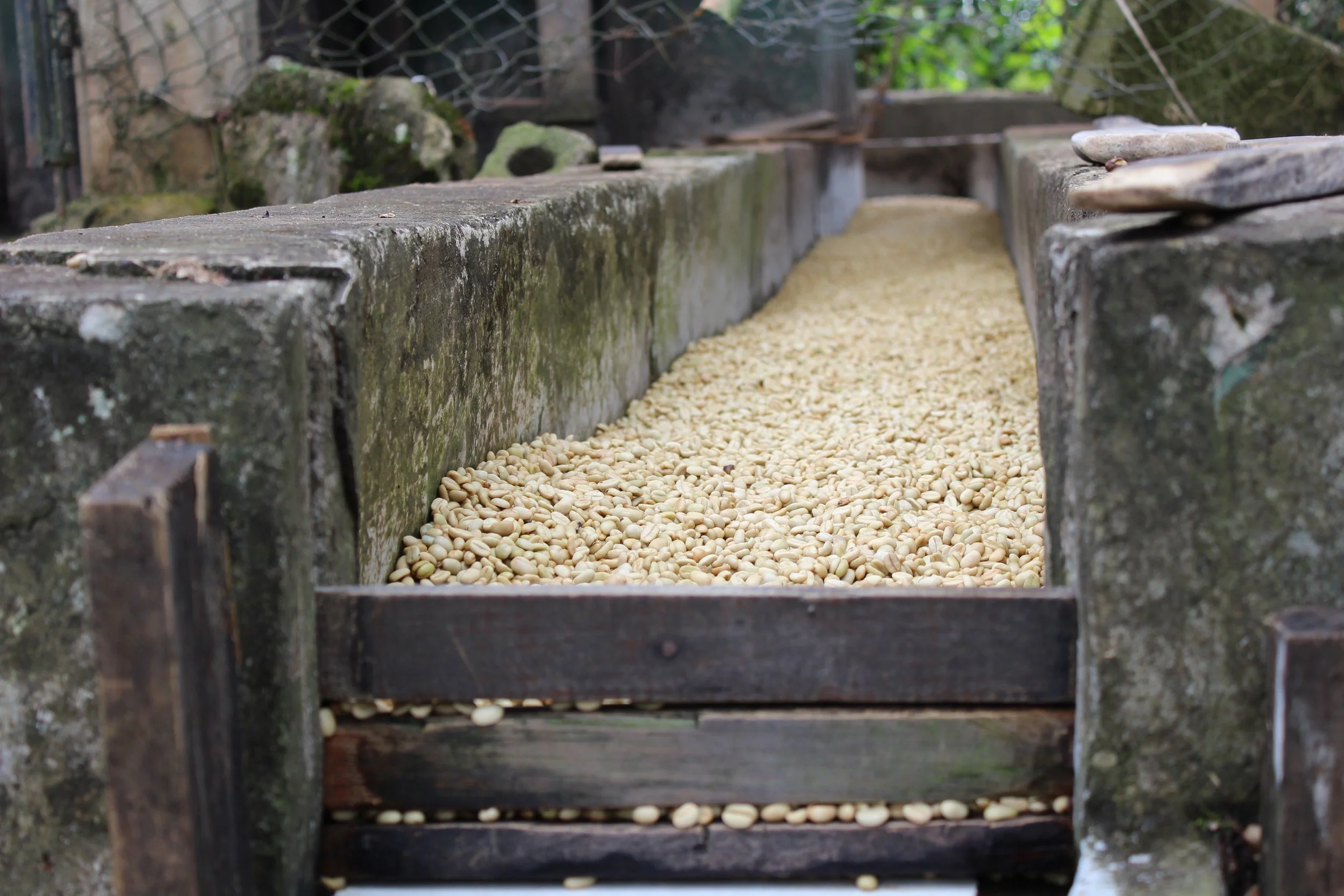 Copy of IMG_4081.JPG