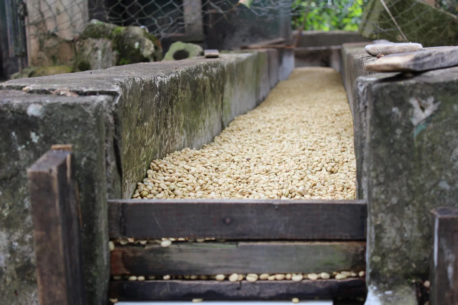 Specialty Coffee Transaction Guide