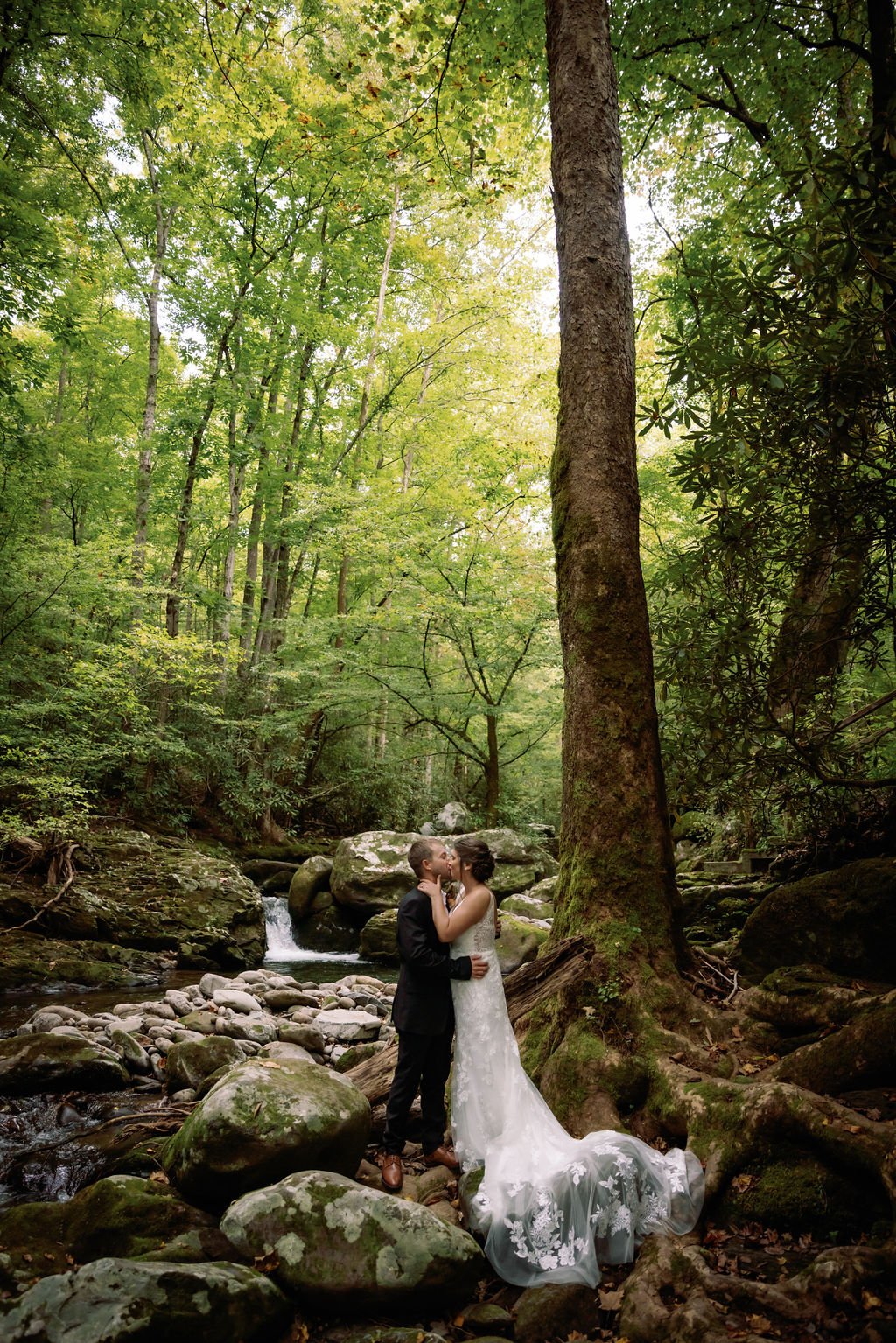 gatlinburg-photographers-gatlinburg-wedding-packages-for-two-bridal-portraits-in-forest