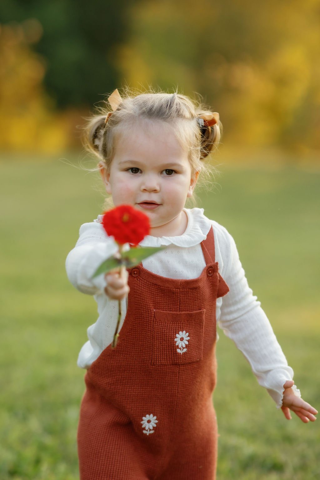gatlinburg-photographers-widflower-photos-with-gatlinburg-photographer-girl-holding-flower