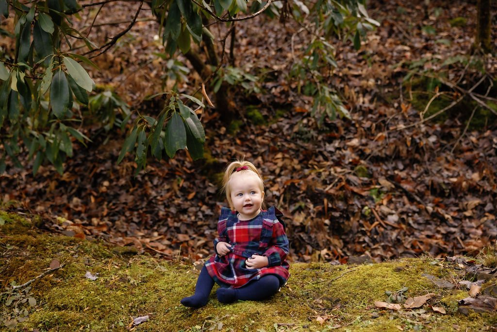 gatlinburg-photographer-gatlinburg-photographers-winter-family-pictures-children-sitting