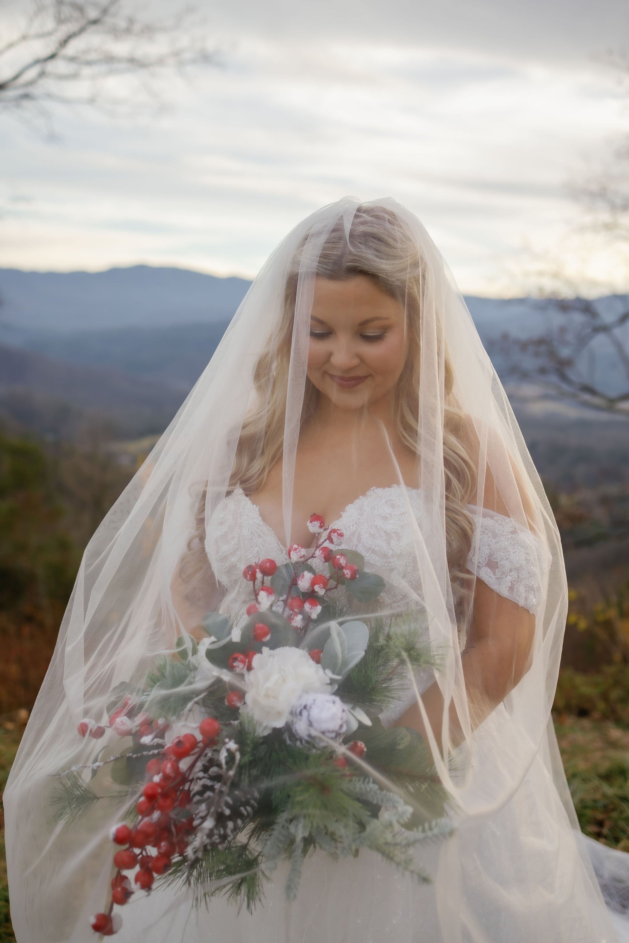 gatlinburg-wedding-photographer-gatlinburg-winter-wedding-bride-under-veil