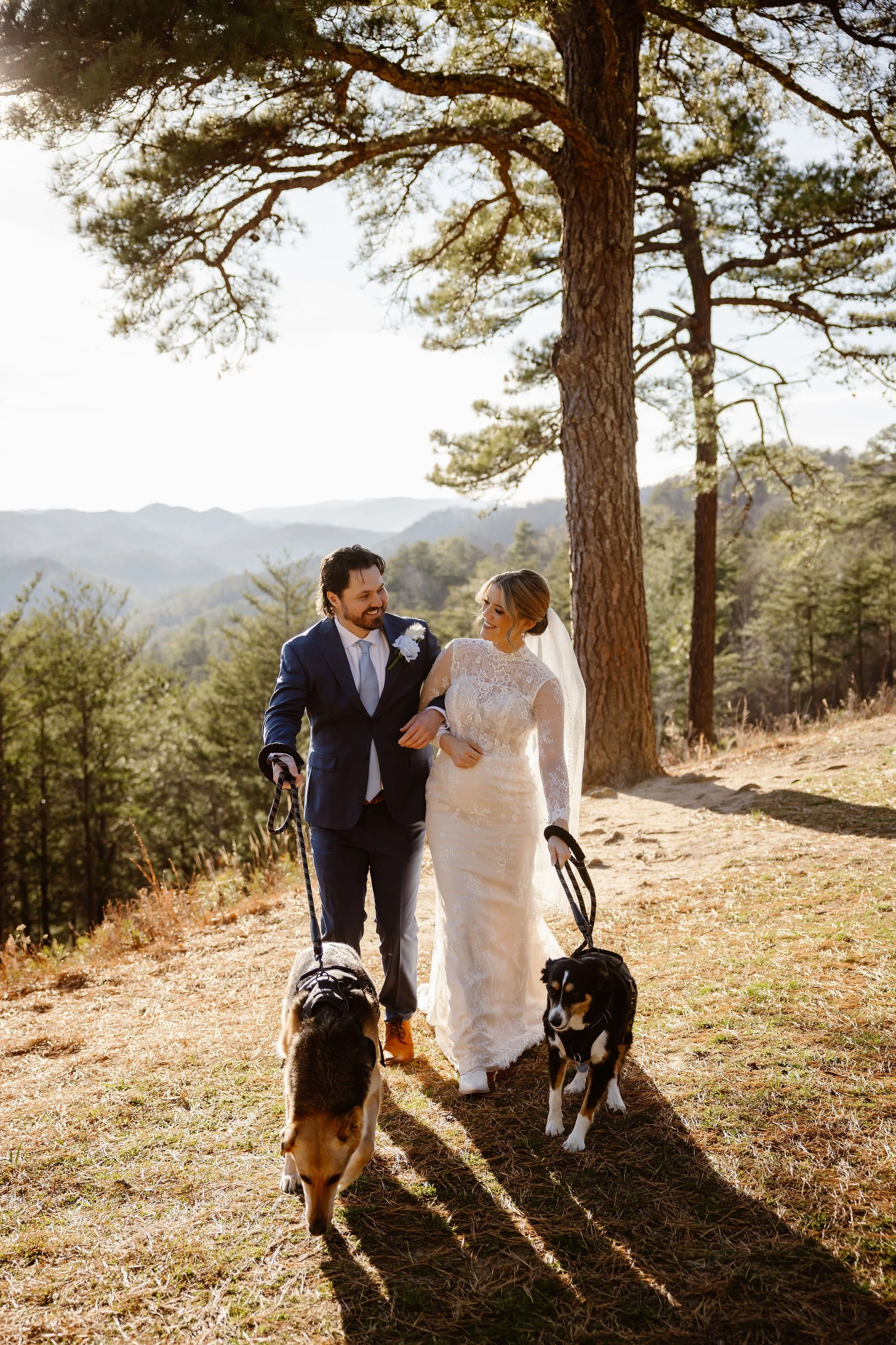 Why-Hire-National-Park-Photographers-for-Your-Elopement-wedding-dogs