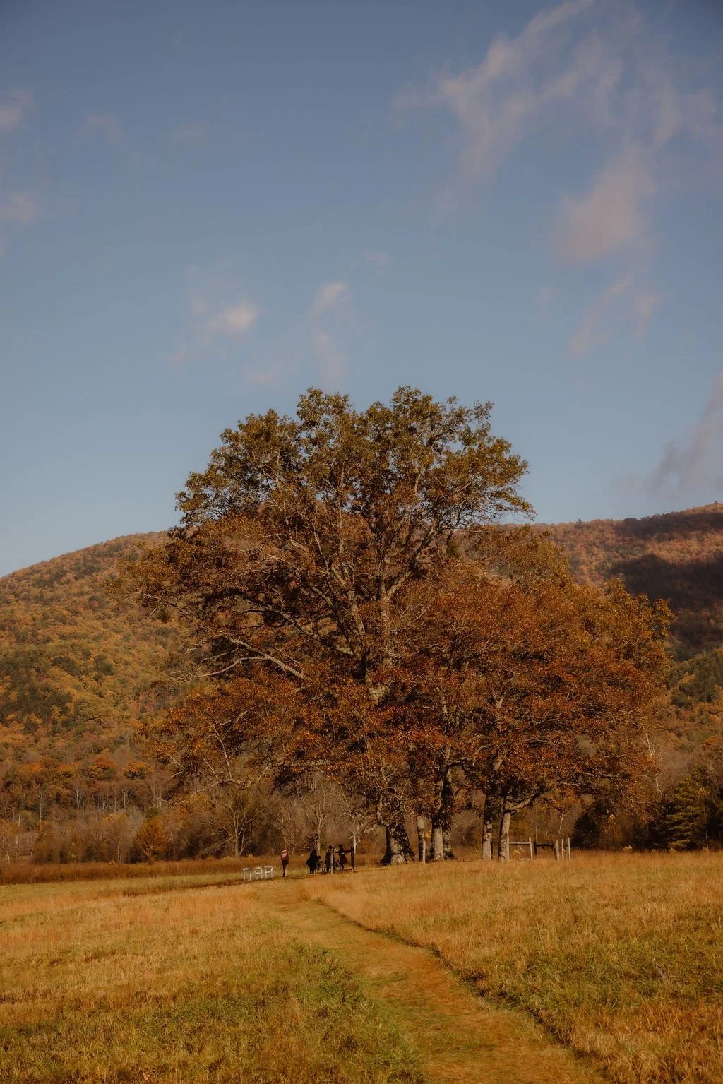 Halloween-Wedding-in-the-Smoky-Mountains-cades-cove