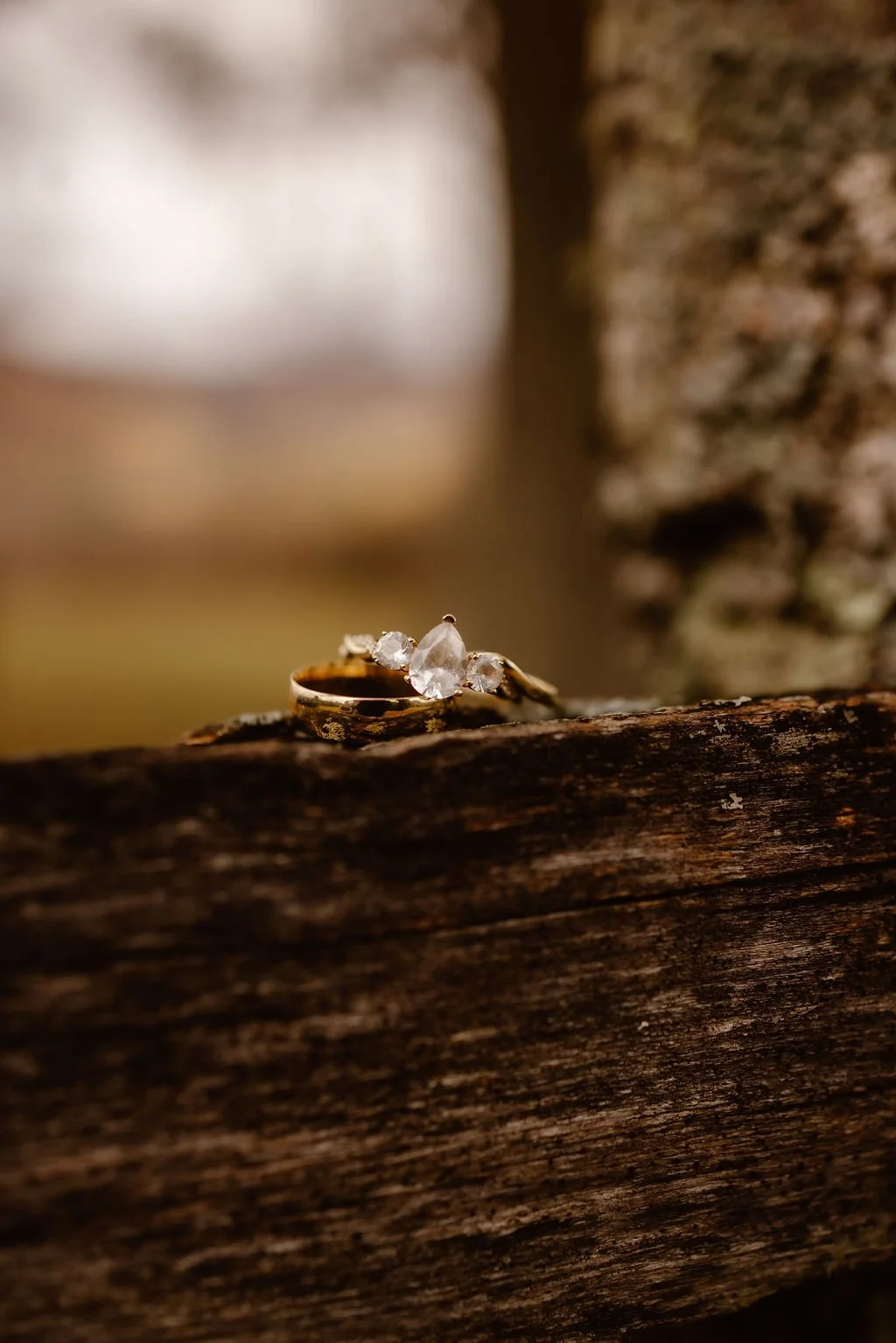 Halloween-Wedding-in-the-Smoky-Mountains-rings