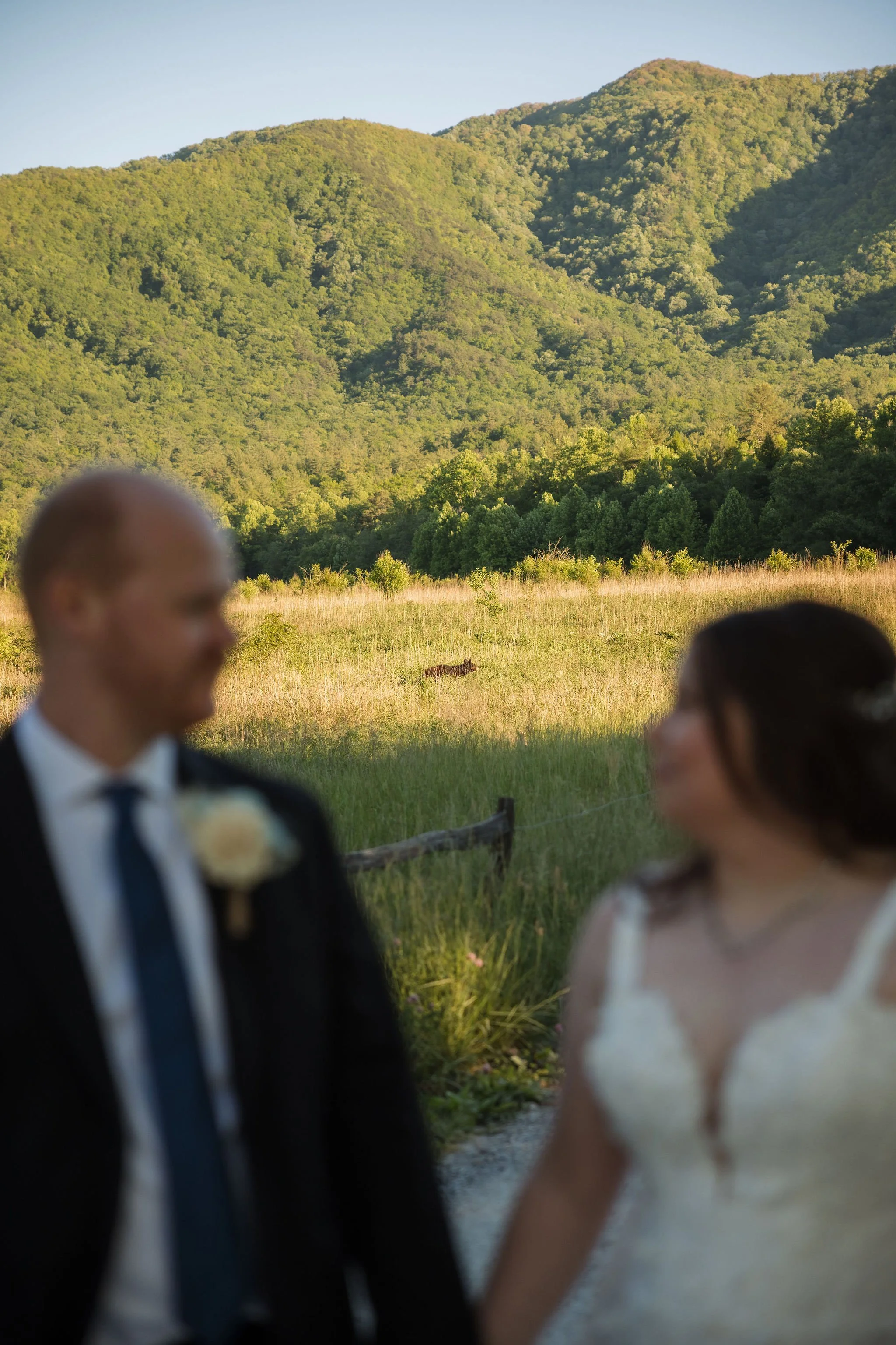 how-to-make-your-gatlinburg-elopement-feel-like-a-wedding