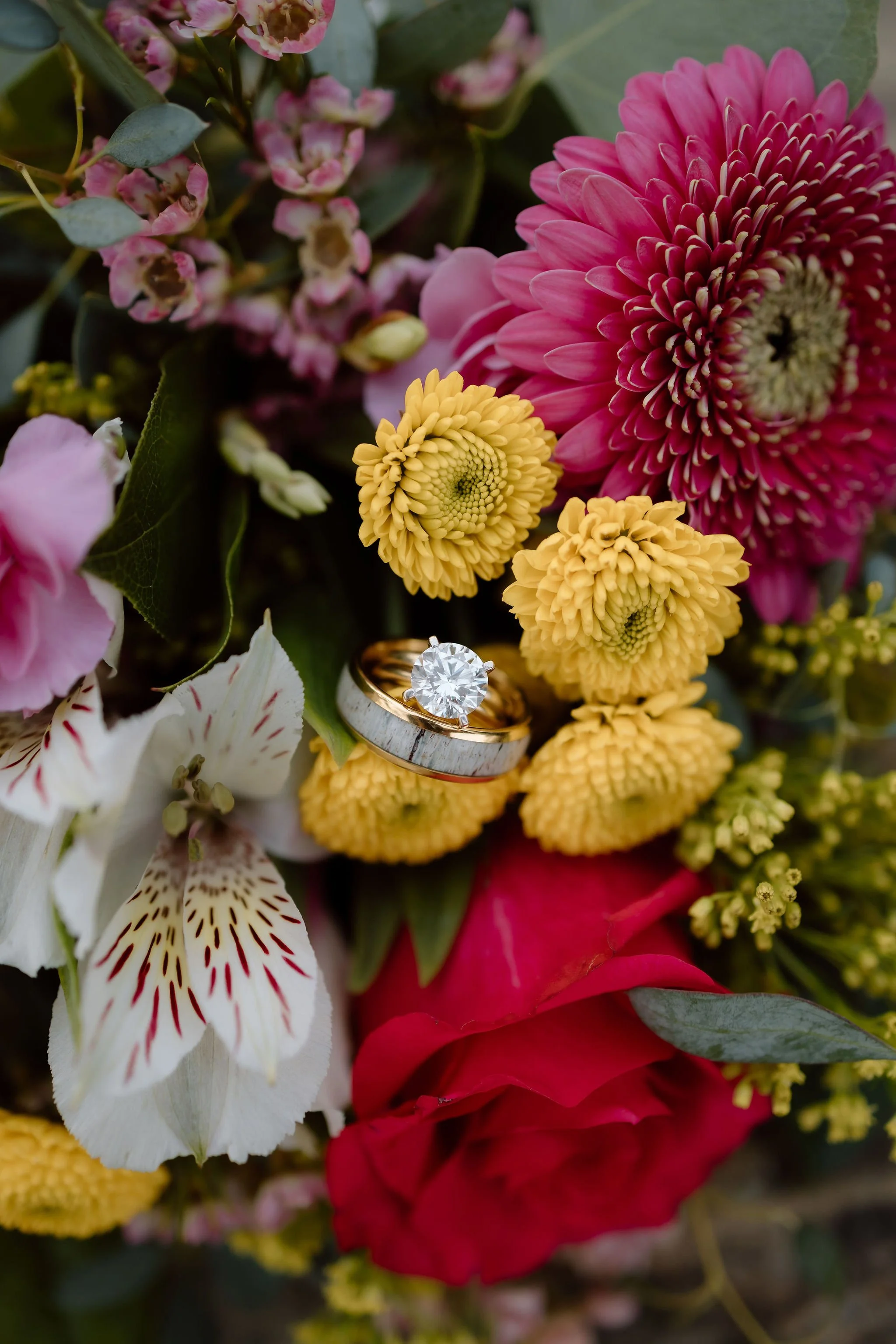 Waterfall-Elopement-in-the-Smoky-Mountains