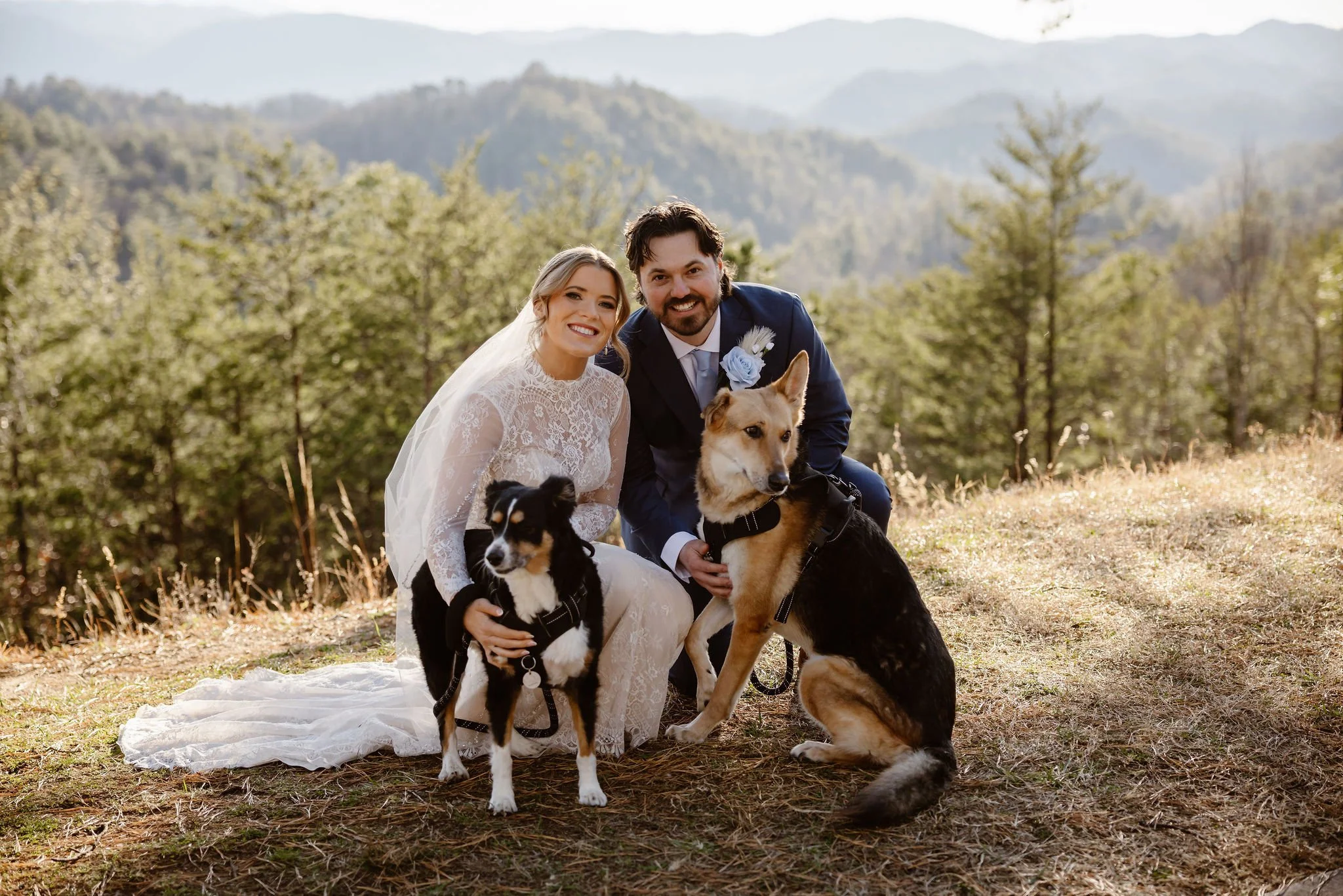Bride and groom kneeling beside their two dogs on a grassy overlook with forested mountain views in the background, captured by National Park Photographers at Foothills Parkway in the Smoky Mountains.
