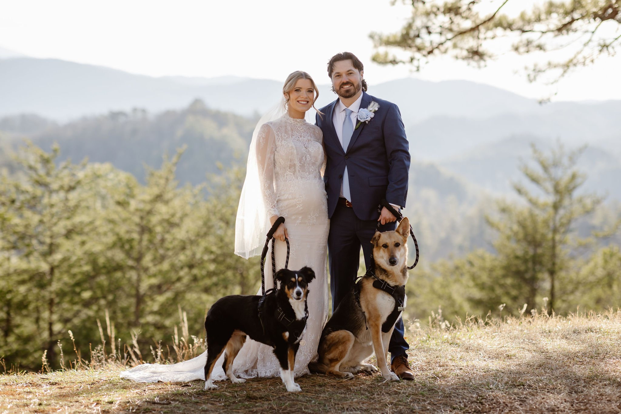 Bride and groom standing side by side with their two leashed dogs, posed against a scenic mountain backdrop at Foothills Parkway in the Smoky Mountains, captured by National Park Photographers.
