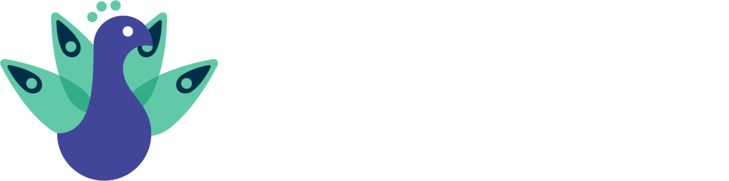 Armenian Youth Foundation