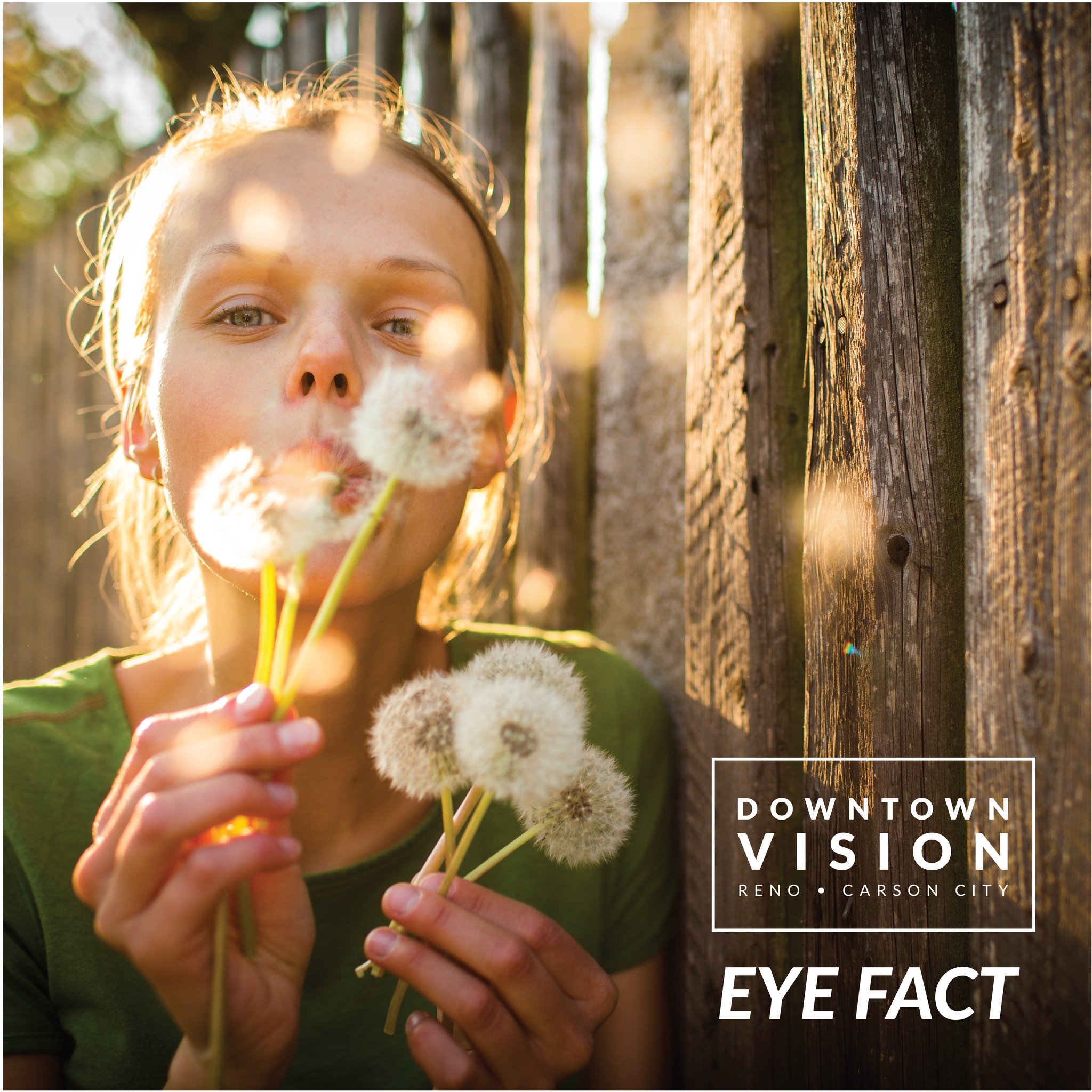 Did you know your body's immune system response is responsible for those itchy, watery eyes during allergy season? 🌷

Our eyes' allergic responses are caused by our immune system trying to protect us from allergens, but our body tends to overdo it. 