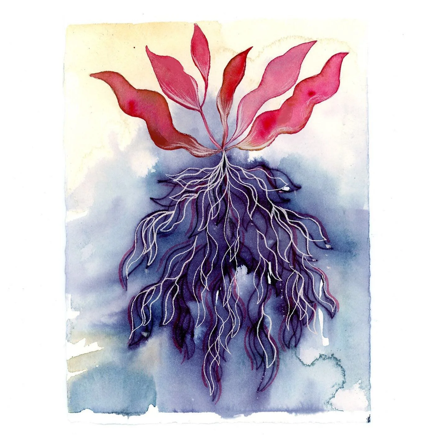 Winter Harvest

#illustrationartists #illustrationoftheday #watercolorartwork #watercolorillustration #painting #fullmoonritual #handpaintedart #watercolortechniques #watercolortexture #womenwhodraw #womenwhodesign #thewomenwhodraw #womenwhoinfluence