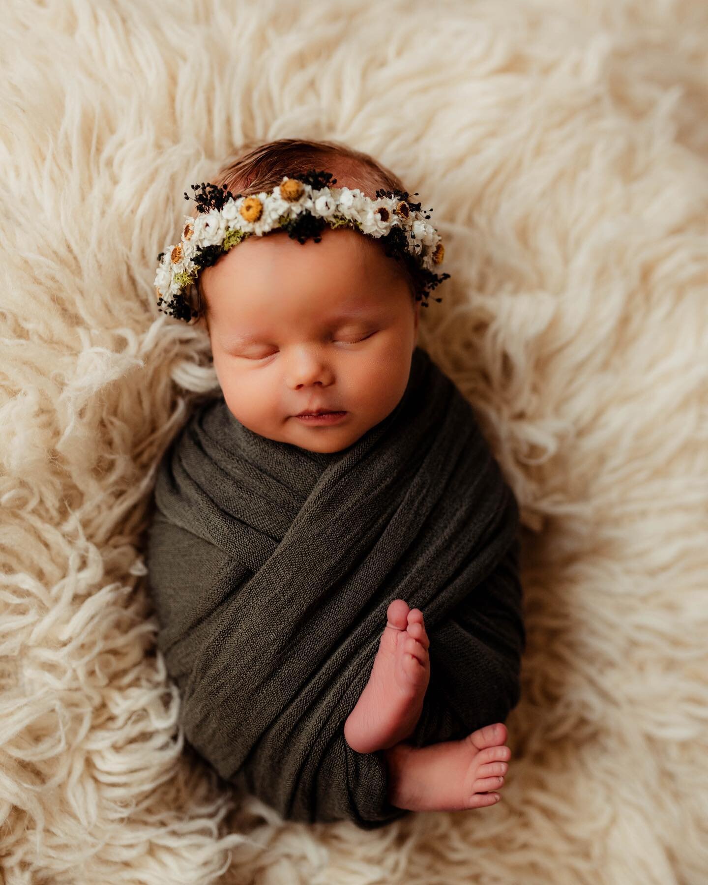 Meet my new bestie, Ellie ❤️✨

I&rsquo;ve had babies on the brain for awhile now - I mean, look at my job?! These squishy tiny babies are my absolute favorite. The cuddles, the cutest outfits and hats and headbands and props. It&rsquo;s actually the 