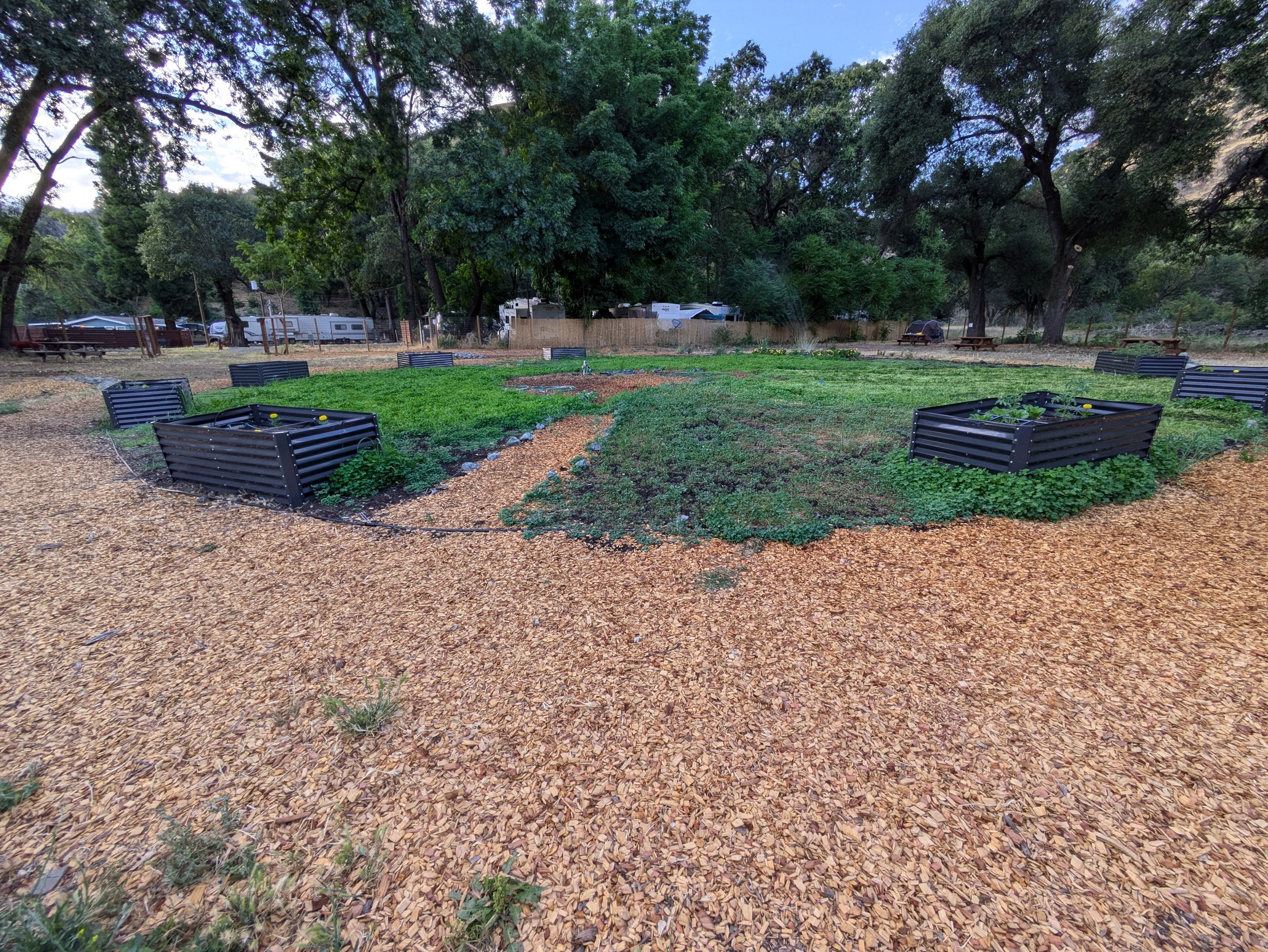 Outdoor garden with raised planters, surrounded by trees, wood chip paths, and greenery.