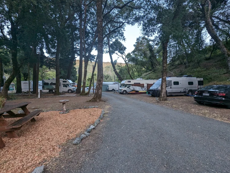 RV park with several campers and vehicles under tall trees, gravel road, and a picnic table area