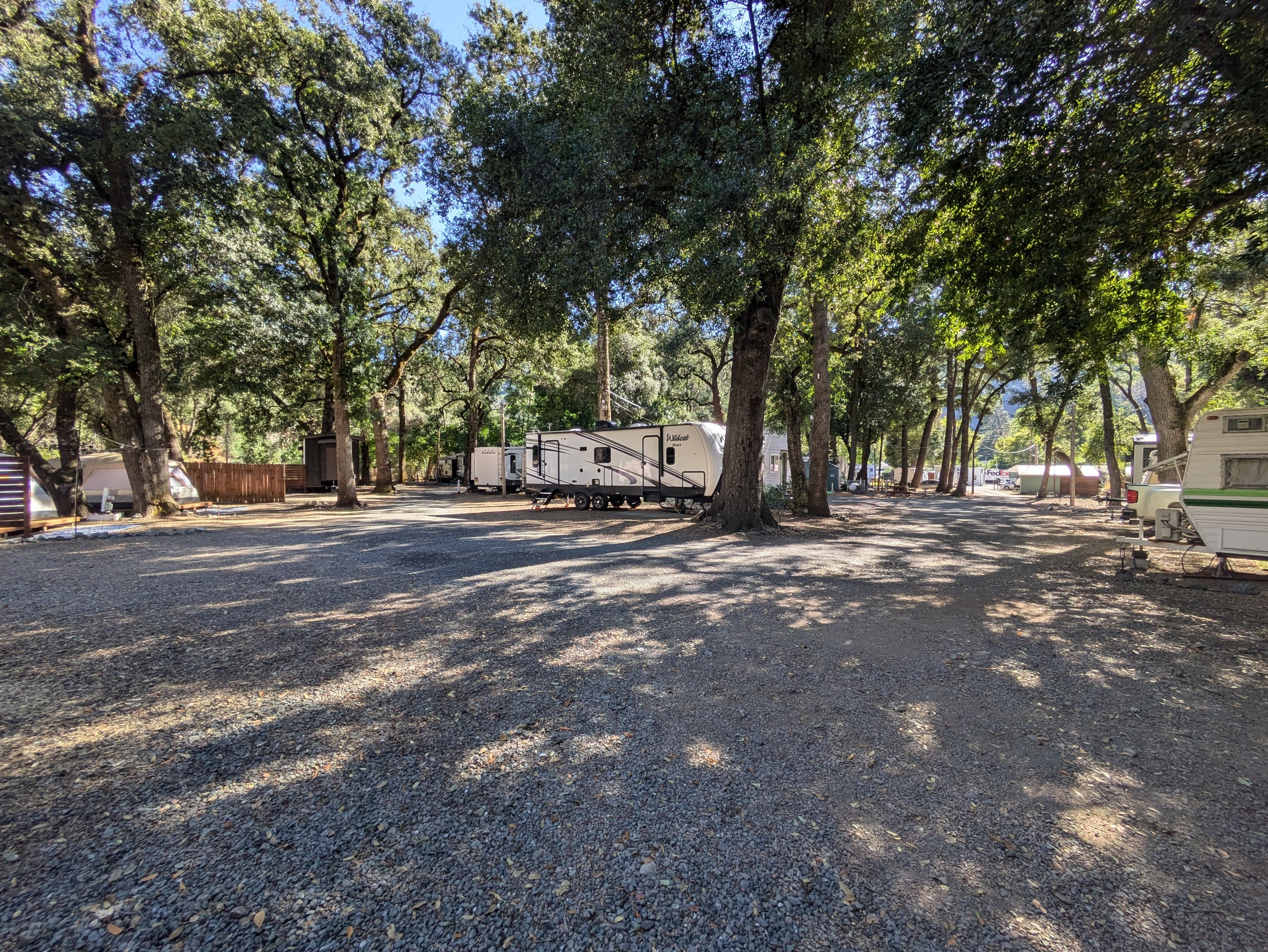 Campsite with RVs under trees