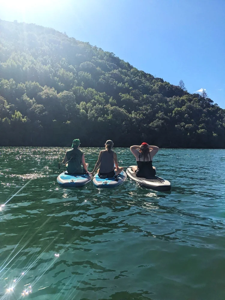Three people on paddleboards in a lake with forested hills in the background under a clear blue sky