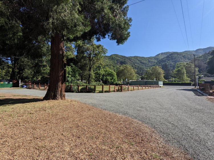 Scenic view of a gravel road lined with trees and mountains, large tree in foreground, and buildings in the distance