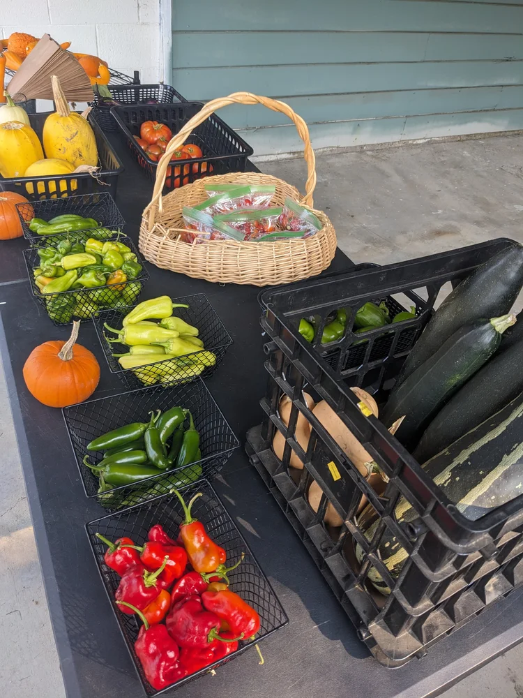Table with various vegetables including pumpkins, tomatoes, zucchini, green peppers, red peppers, and jalapeños in baskets
