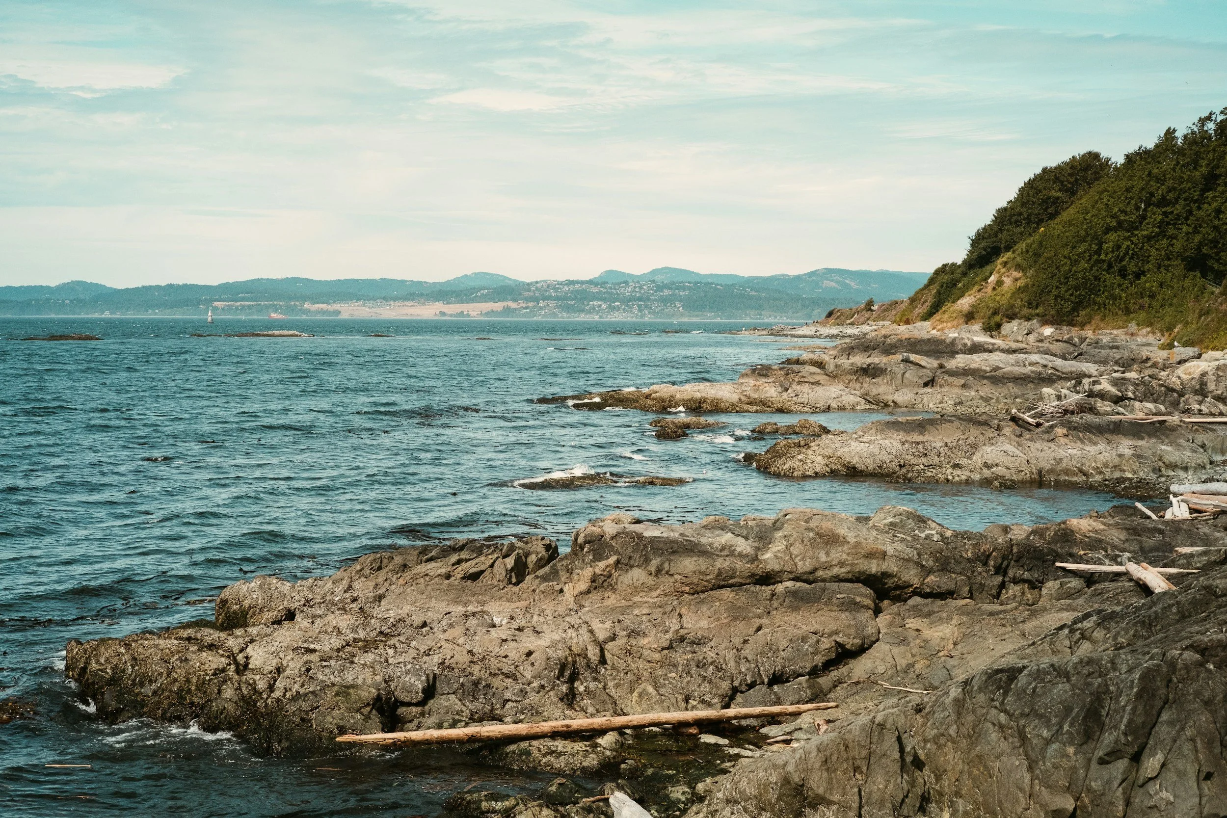 unsplash-image-8Jo4LC28RsM.jpg