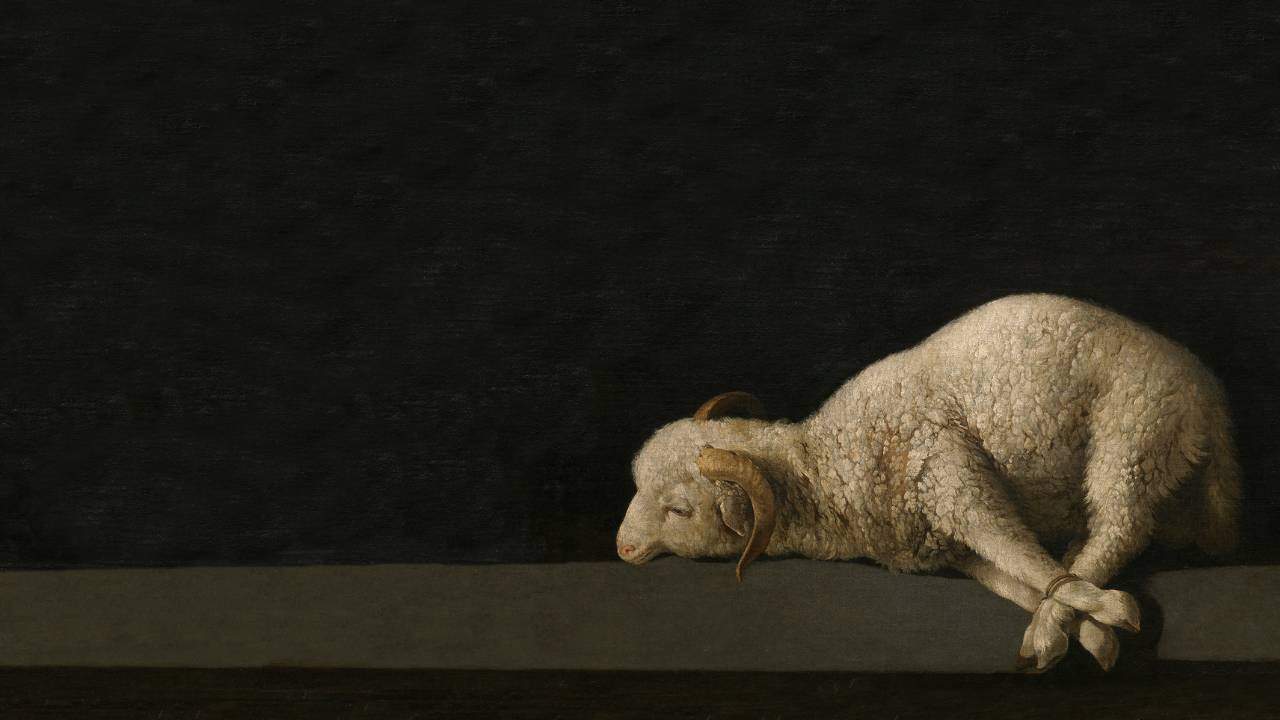 The Last Week - Wednesday Image.png