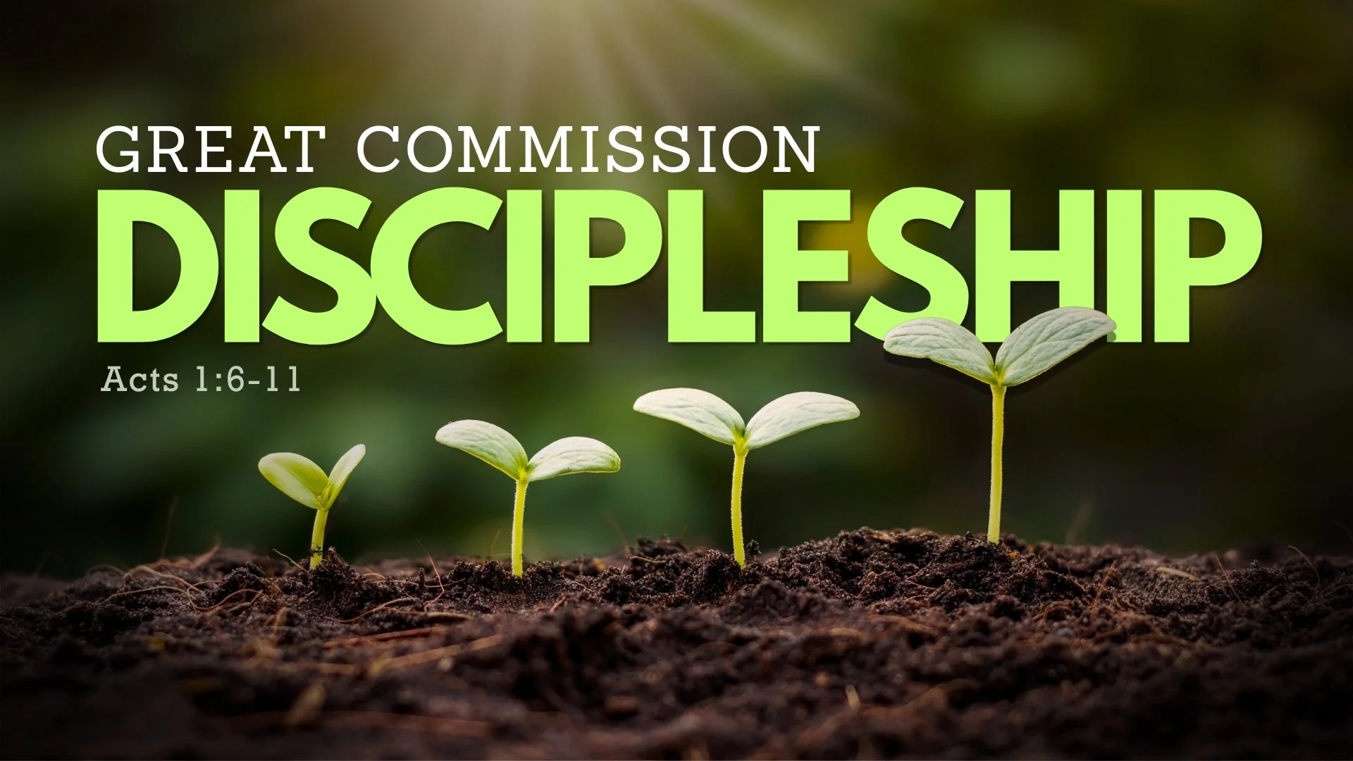 Great Commission Discipleship