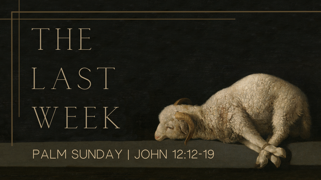 2023_02_19_The Last Week - Palm Sunday.png