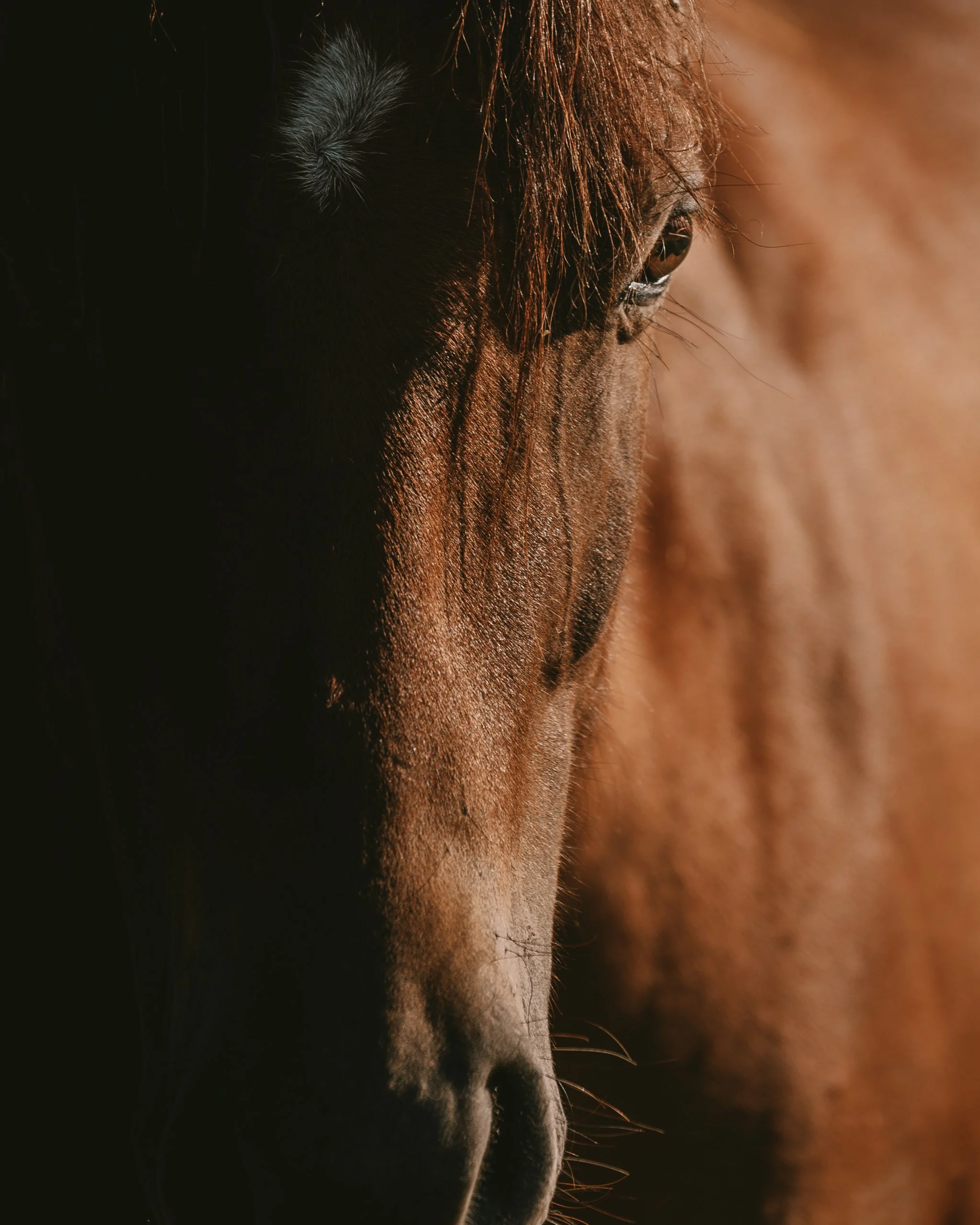 Durango_Day 2 (12 of 14).jpg