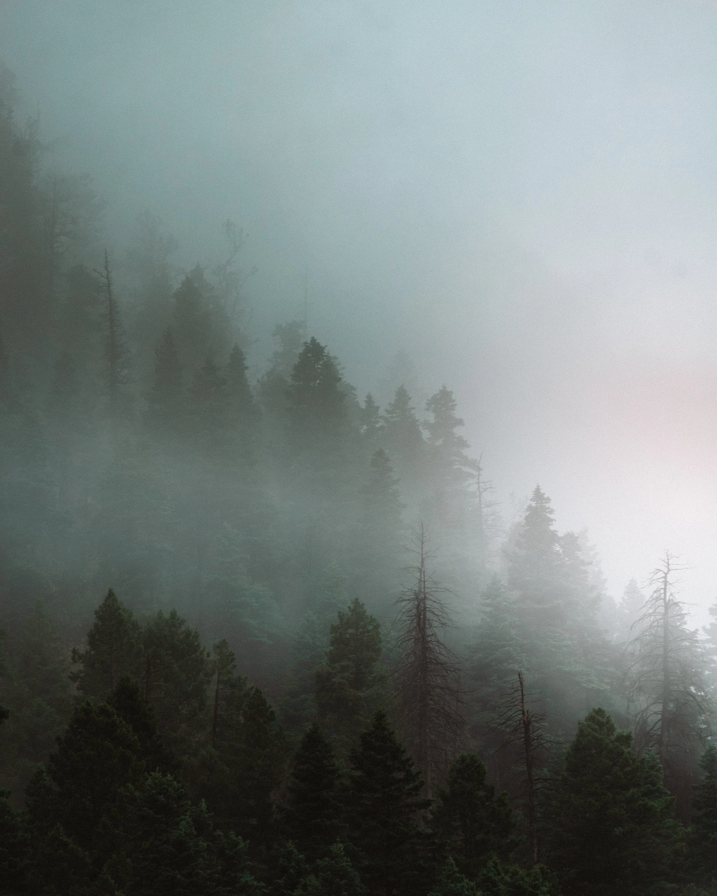 Durango_Day 1 (3 of 4).jpg