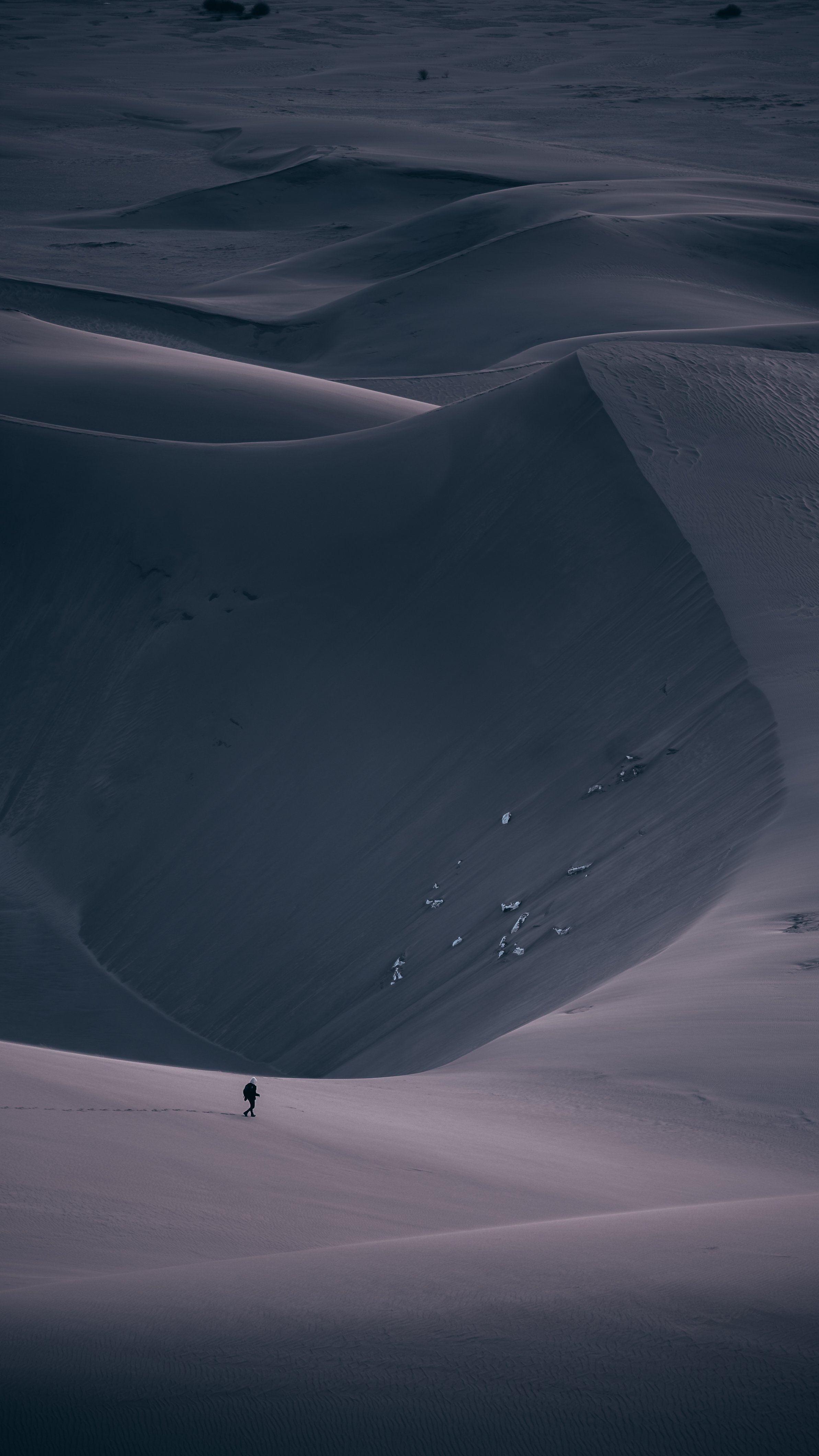Blue Hour Dune.jpg
