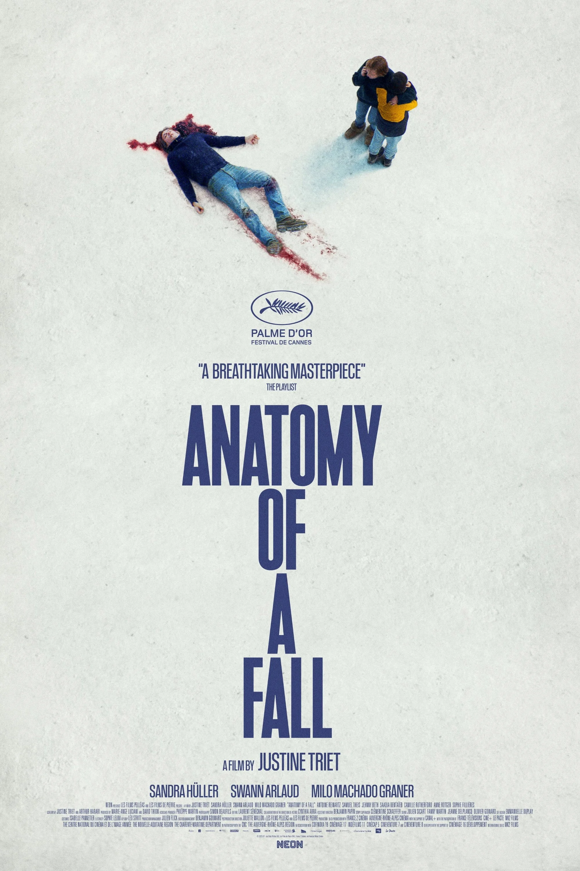 Anatomy of a Fall ~ 4:30 PM