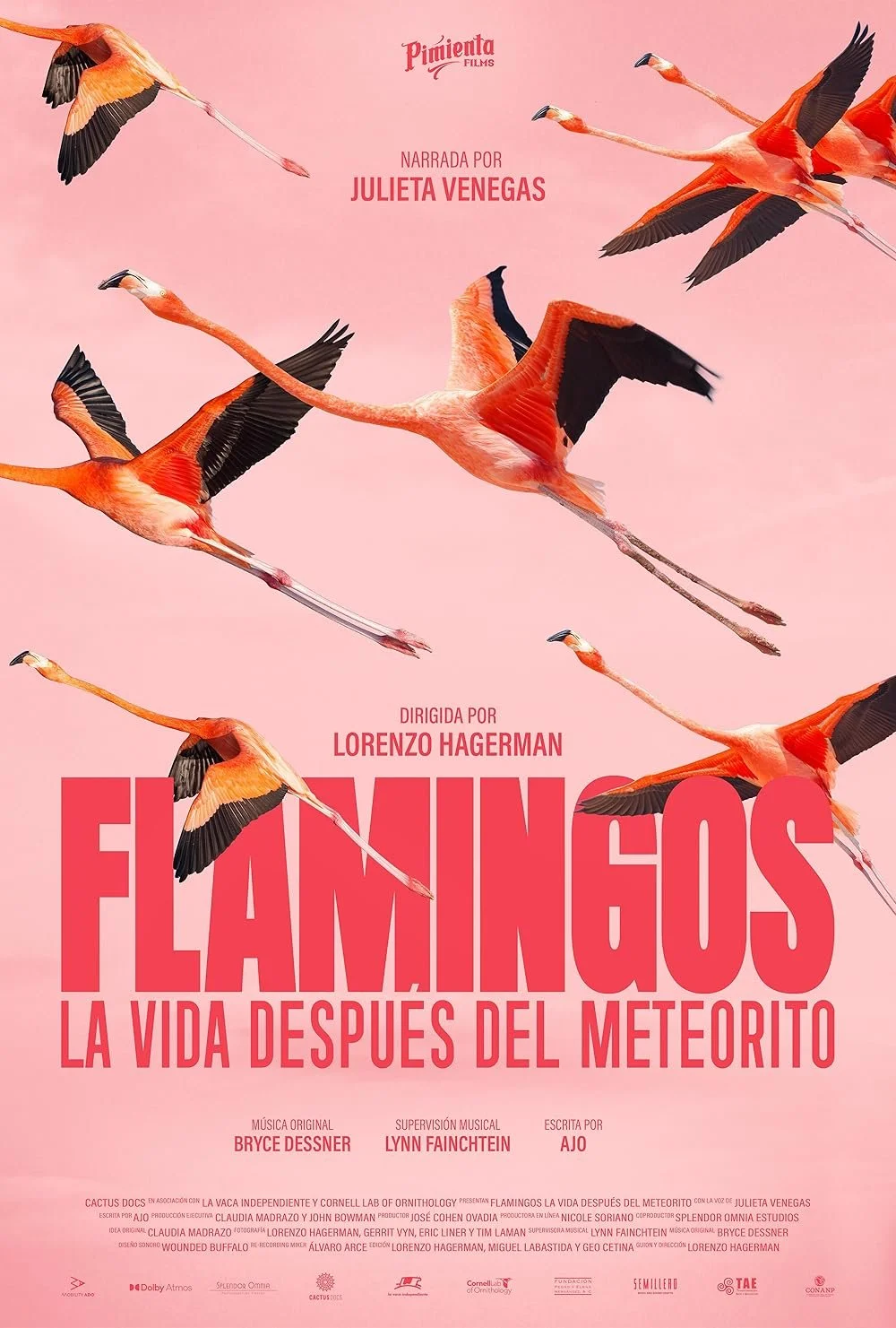 SF CRITTERFEST: Flamingos: Life After the Meteorite (with Talking to Owls) ~ 12:00 PM